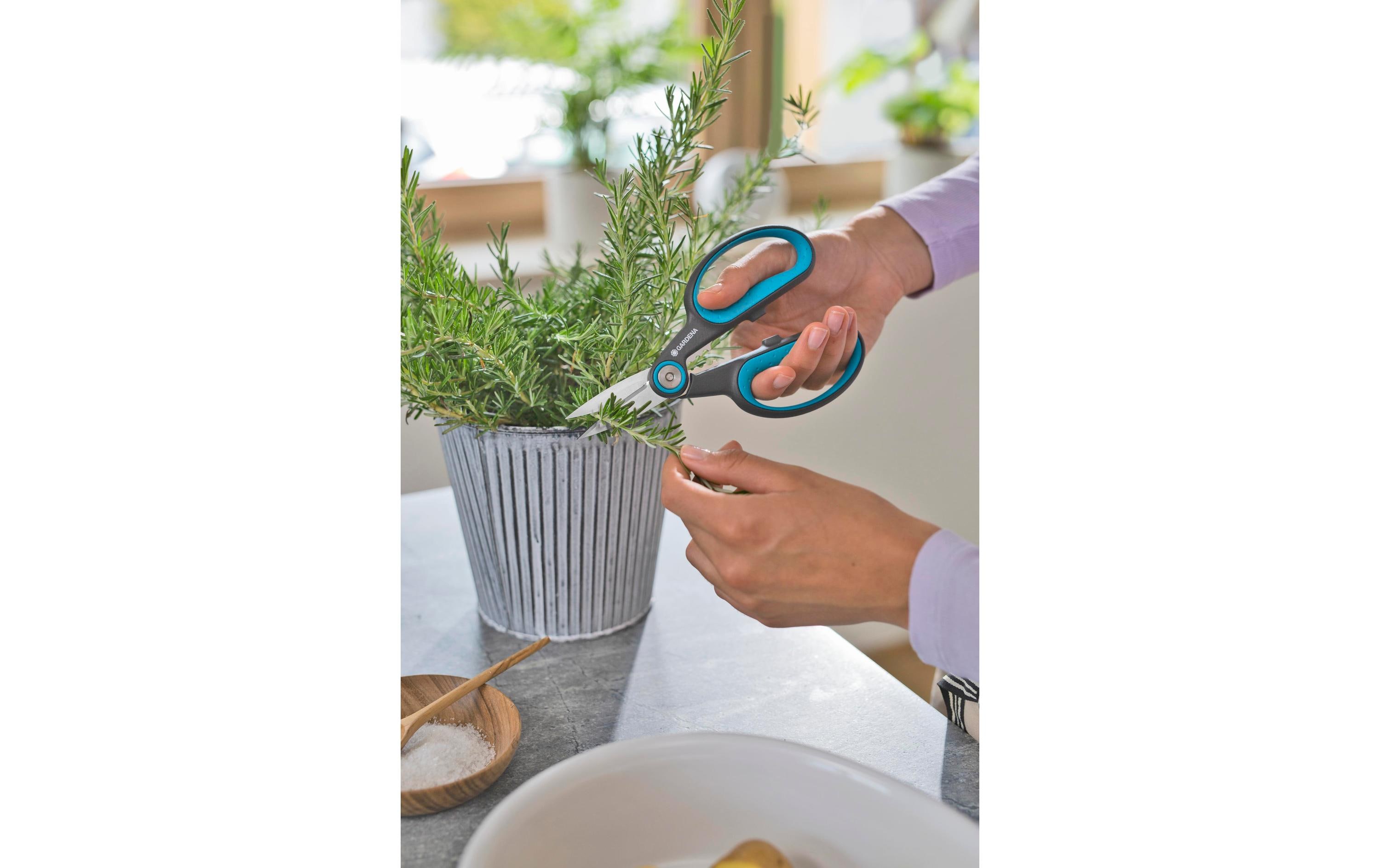 GARDENA Gartenschere HerbCut Set