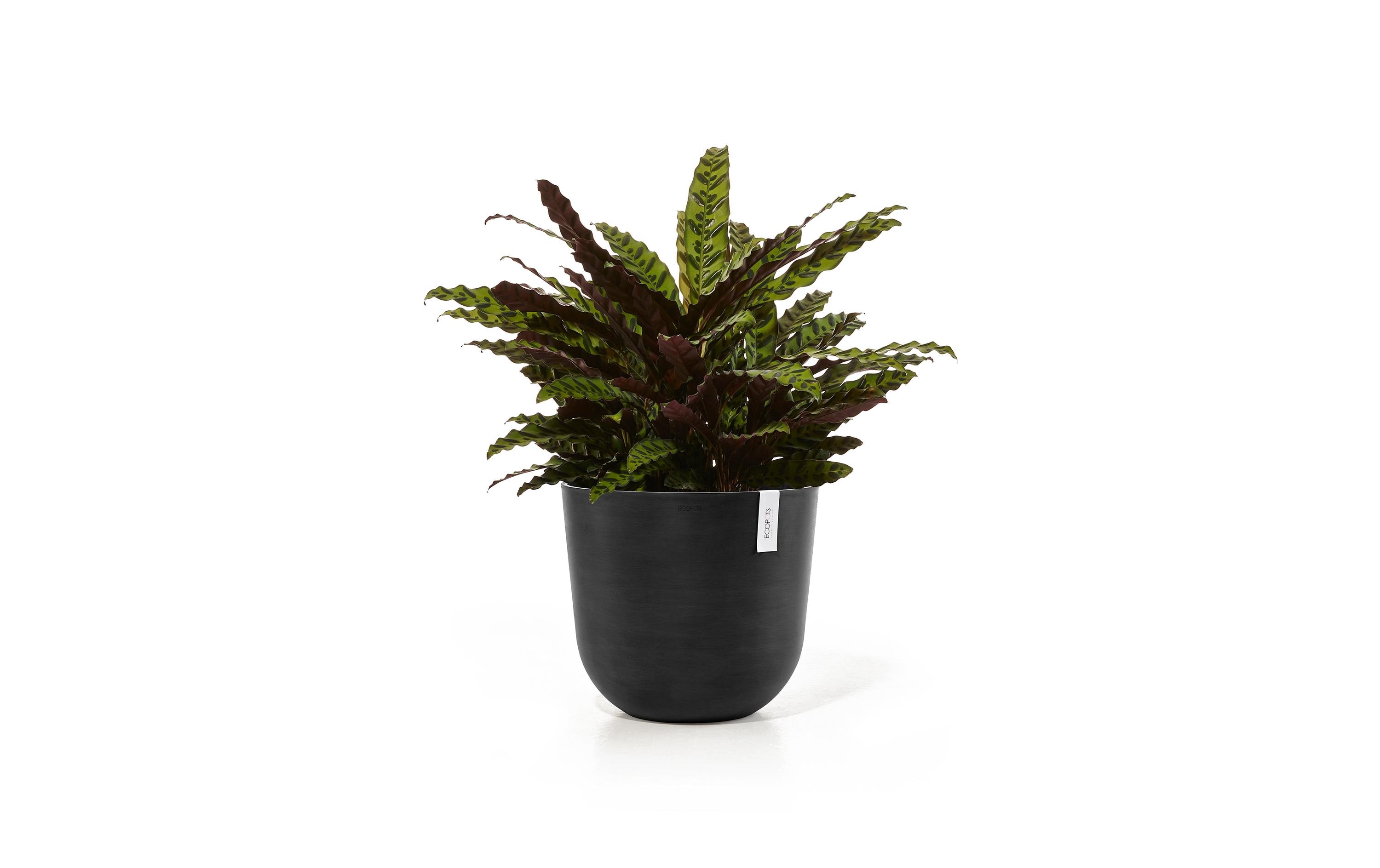 Ecopots Pflanzentopf Oslo 35 Dunkelgrau
