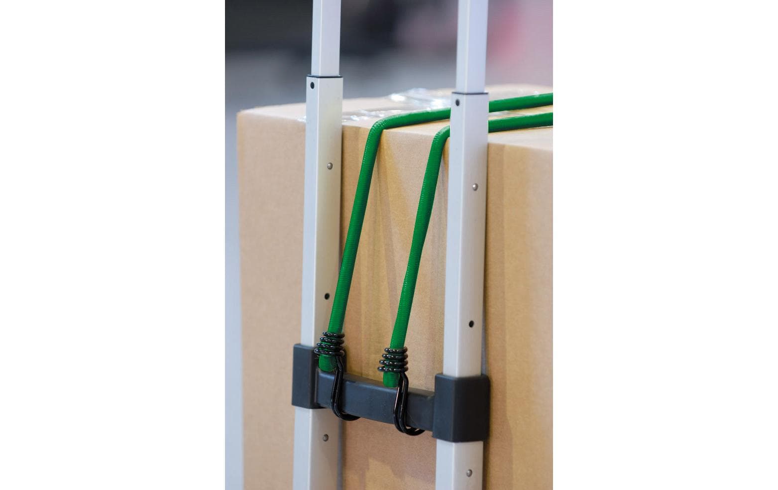 Masterlock Gummi-Spannseilset Dose à 6 Stück Masterlock Gummi-Spannseilset Dose à 6 Stück