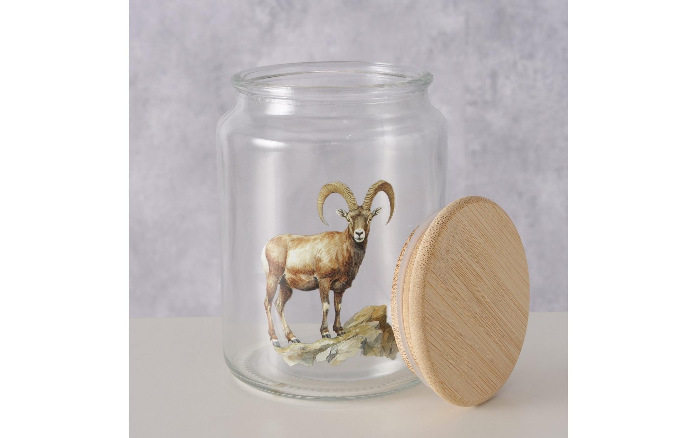 Boltze Vorratsglas Poldie 650 ml