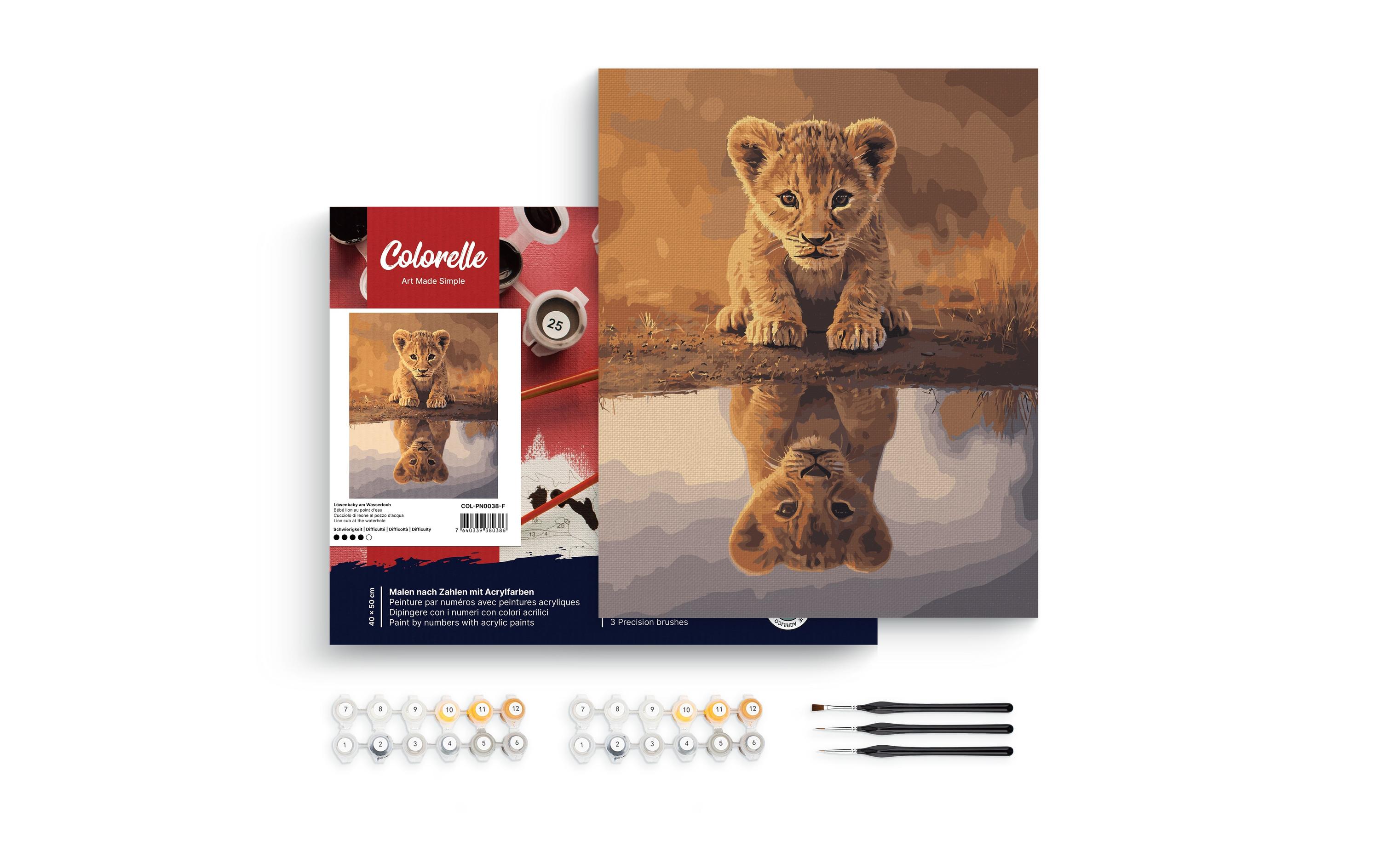 Colorelle Malen nach Zahlen Löwenbaby am Wasserloch Colorelle Malen nach Zahlen Löwenbaby am Wasserloch