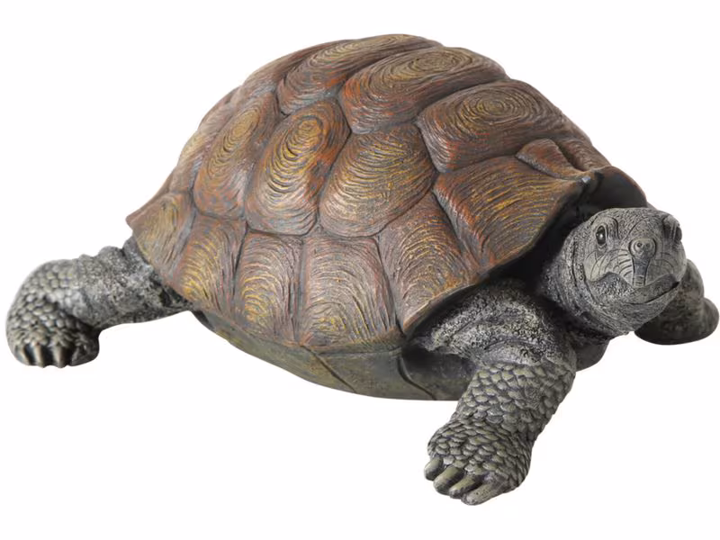 Boltze Aufsteller Slomo Schildkröte 25 cm x 14 cm, Braun/Grau Boltze Aufsteller Slomo Schildkröte 25 cm x 14 cm, Braun/Grau