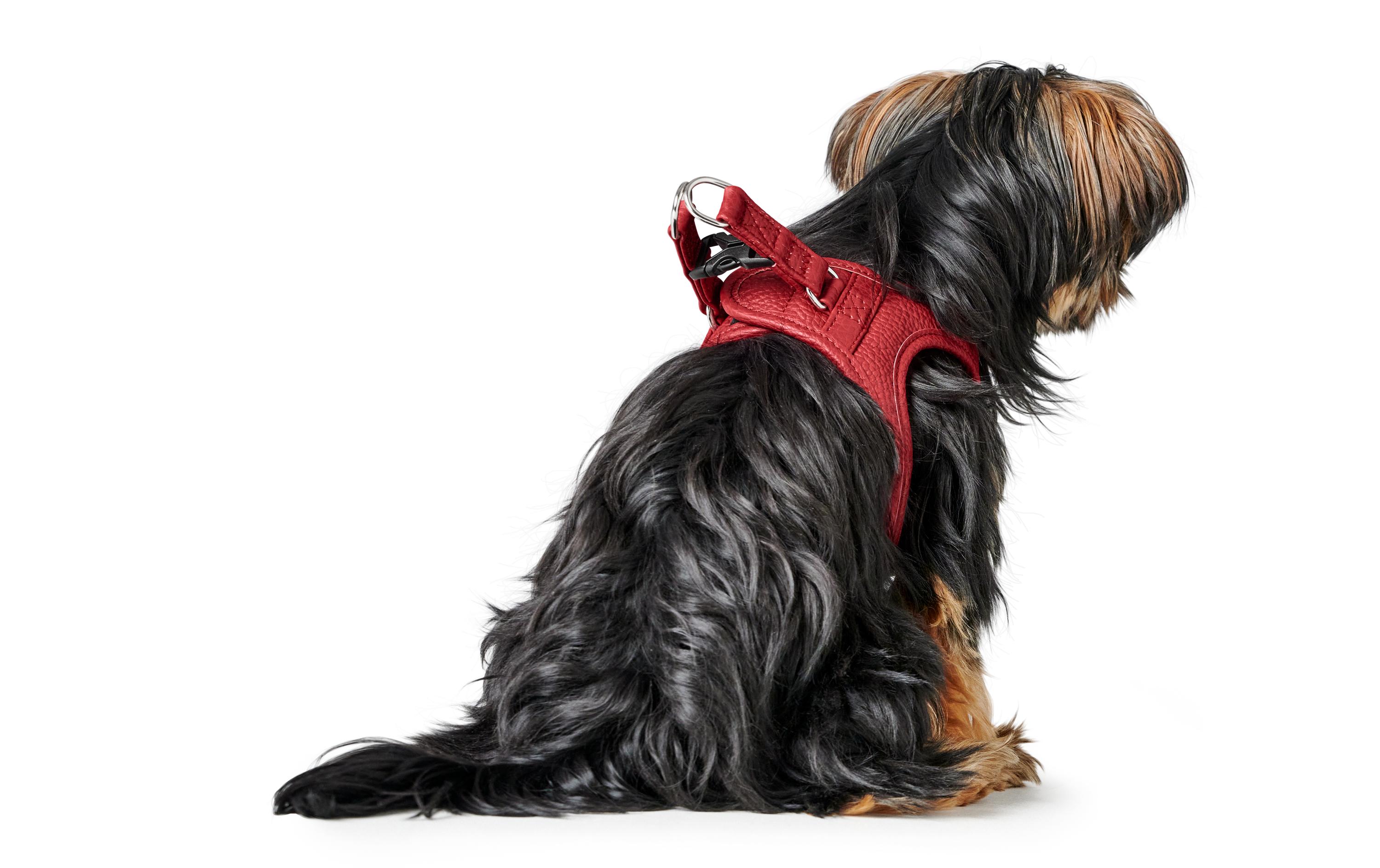 Hunter Geschirr Love 30-34/XXS-XS, Rot/Schwarz