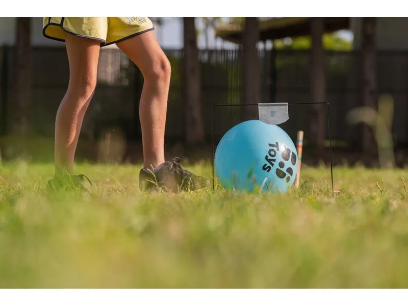 BS Toys Voetbal Croquet Filz Metall Gummi BS Toys Voetbal Croquet Filz Metall Gummi