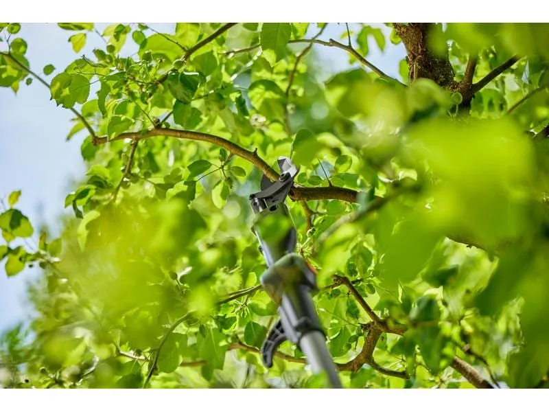 GARDENA Akku-Teleskop-Baumschere HighCut 250/18 V P4A Ready To Use