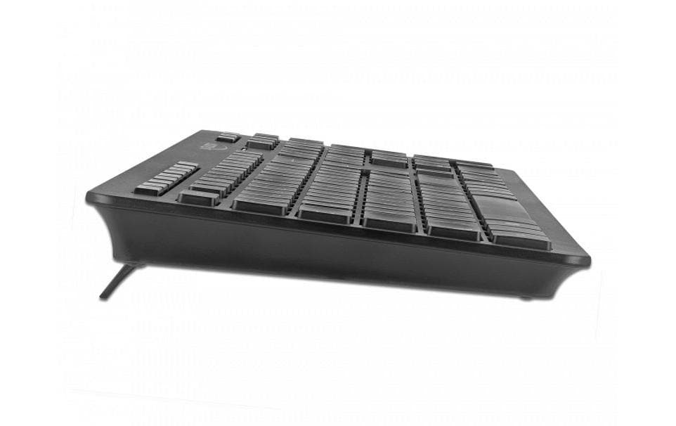 Delock Funk-Tastatur 12004 Wireless Silent