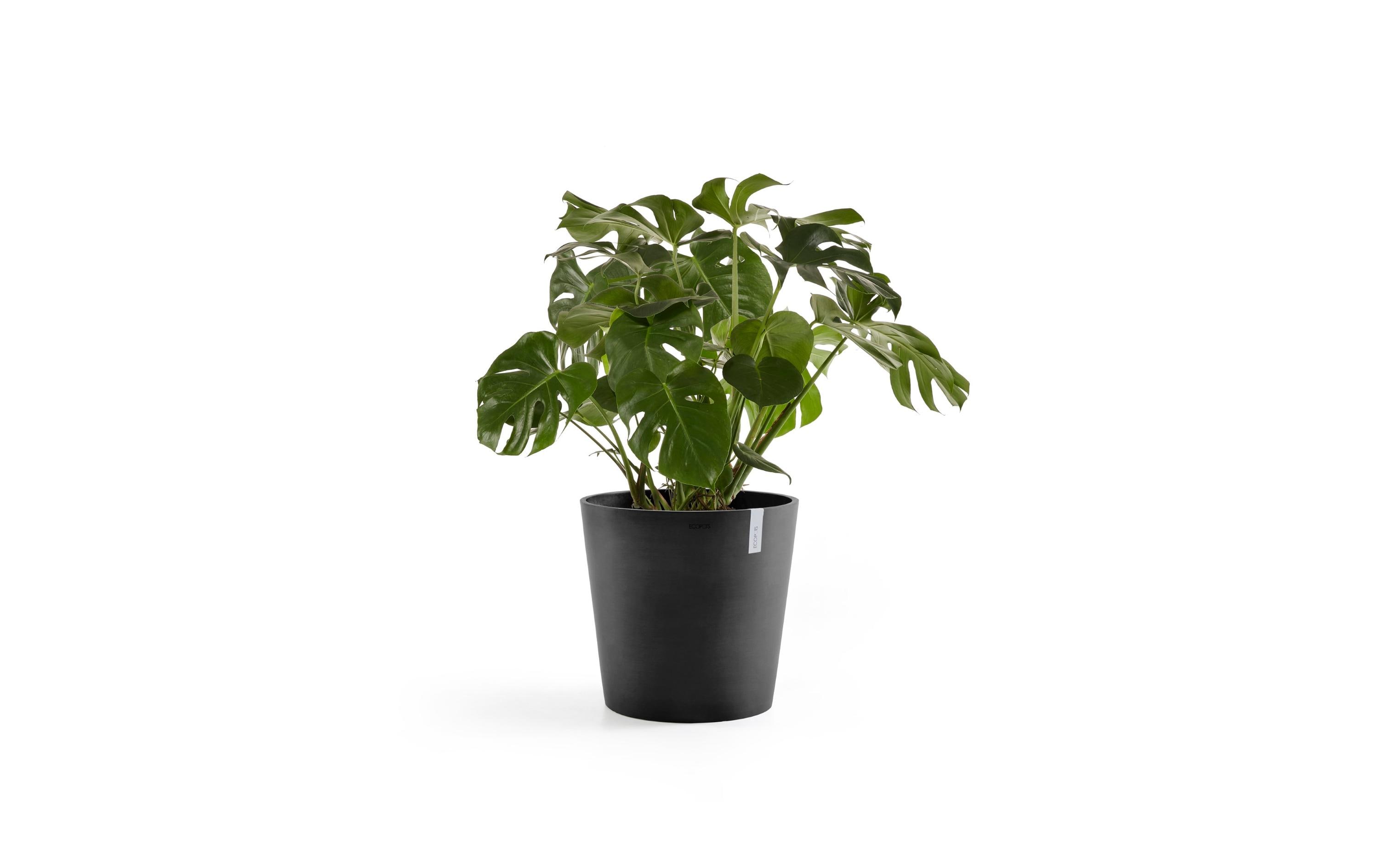 Ecopots Pflanzentopf Amsterdam 50, Dunkelgrau Ecopots Pflanzentopf Amsterdam 50, Dunkelgrau