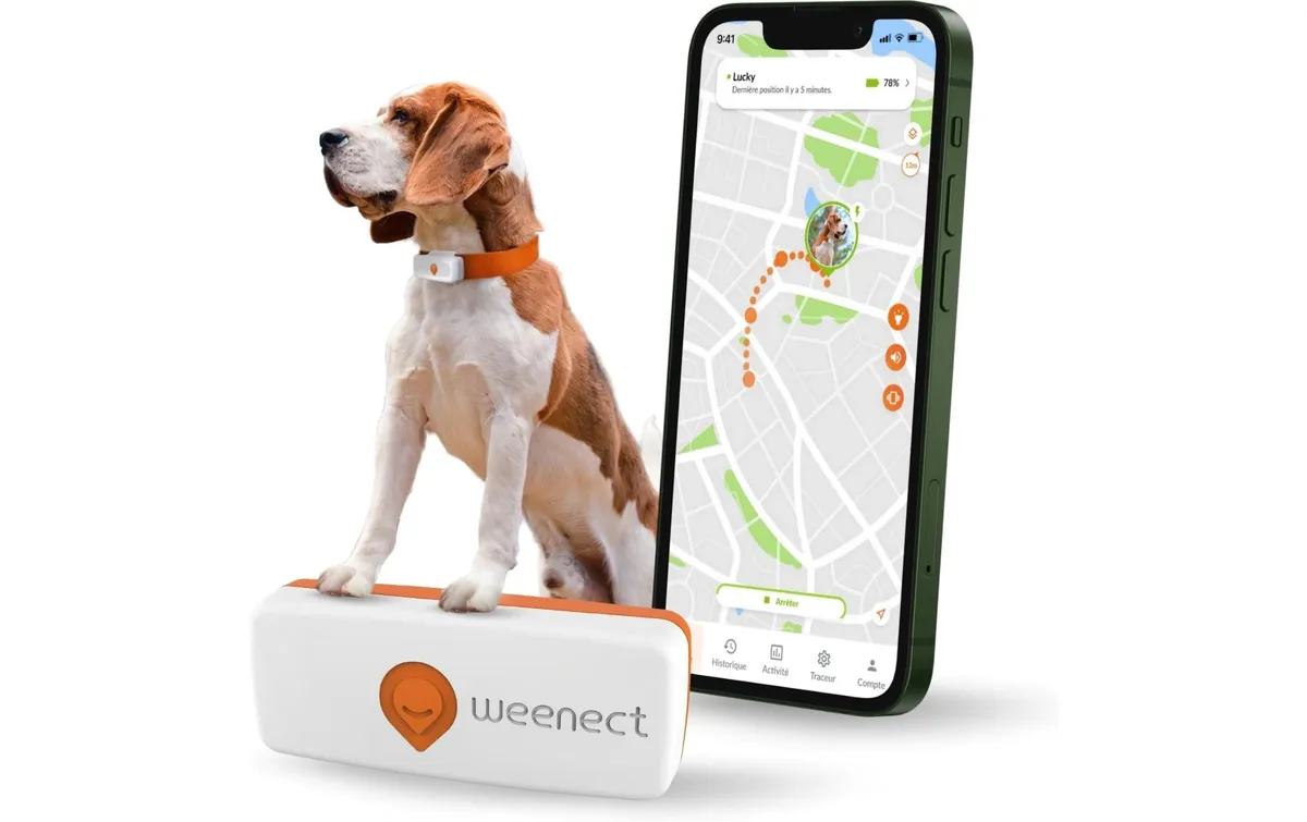 Weenect GPS-Tracker XS für Hunde, Weiss