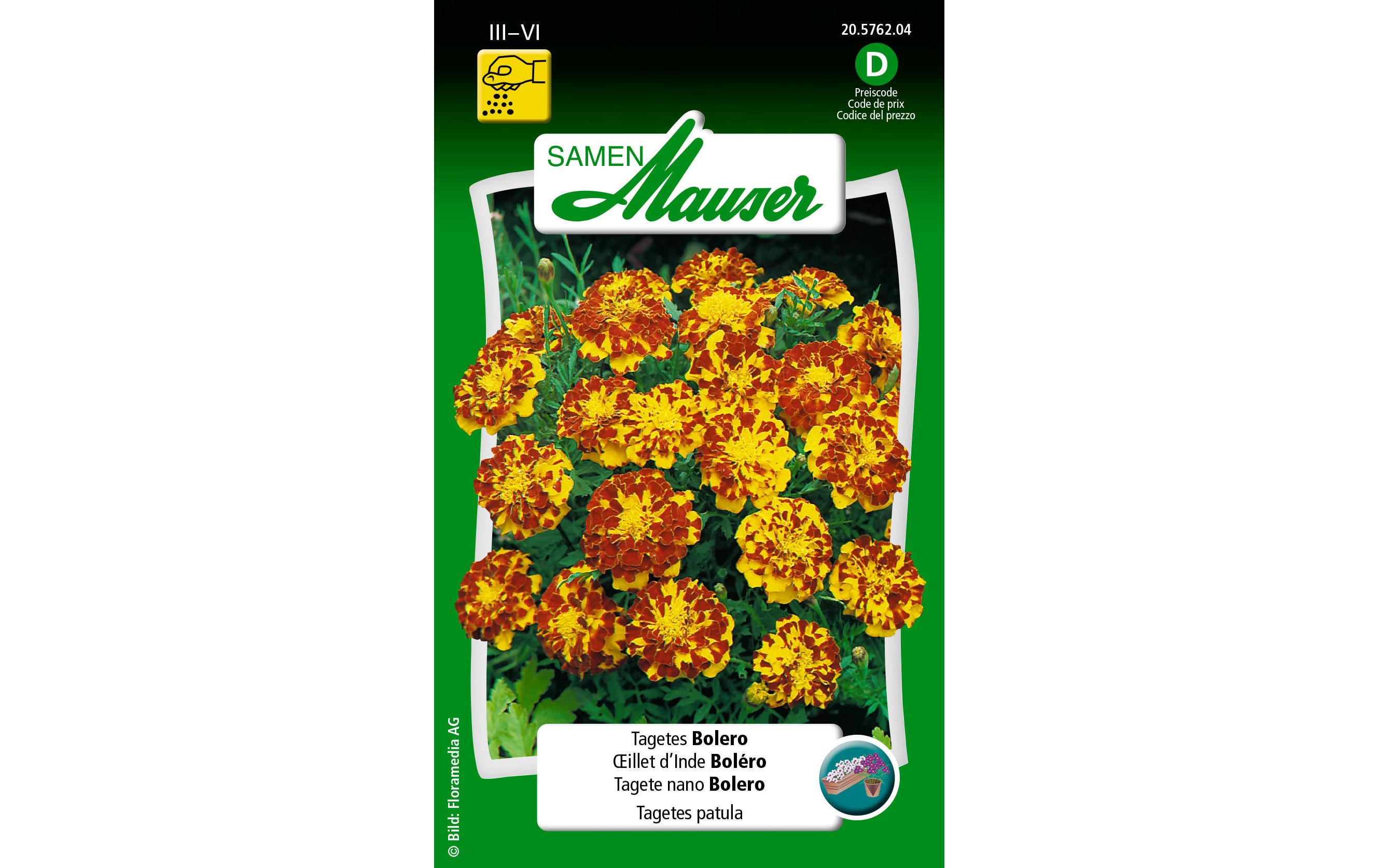 Samen Mauser Saatgut Tagetes Bolero Samen Mauser Saatgut Tagetes Bolero