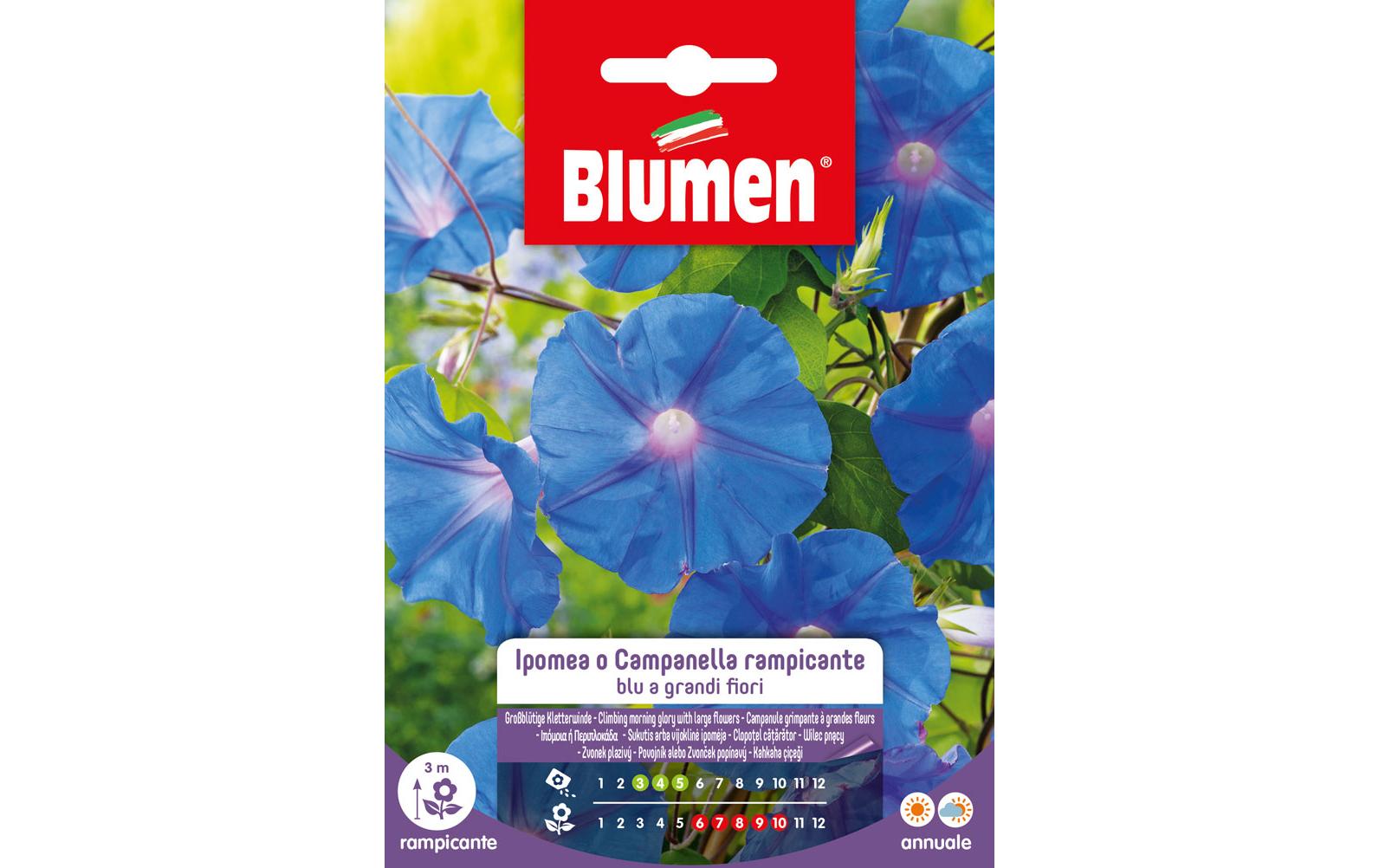 Blumen Saatgut Grossblütige Kletterwinde Blumen Saatgut Grossblütige Kletterwinde