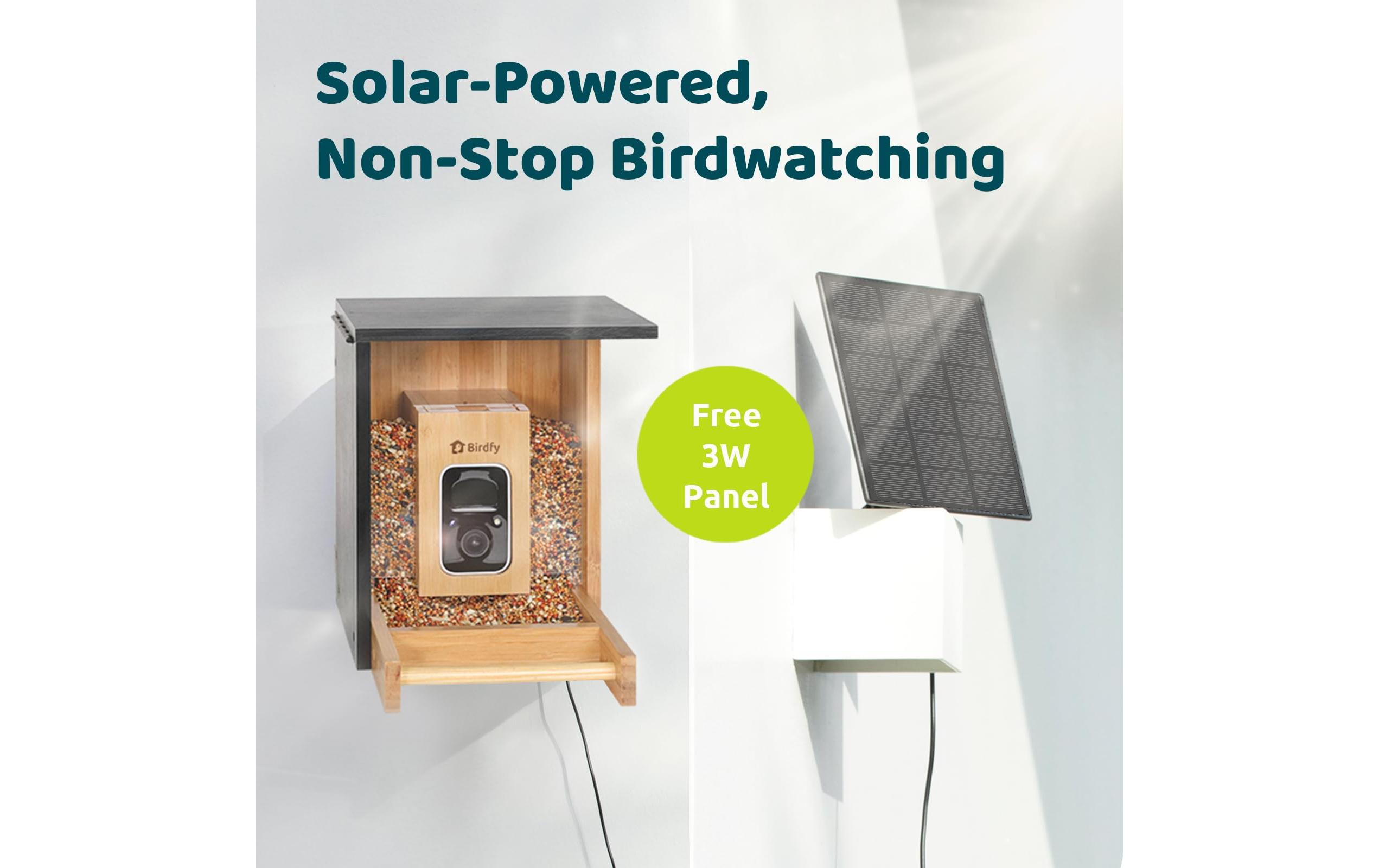Birdfy Futterspender FSC Bambus Mini Solar