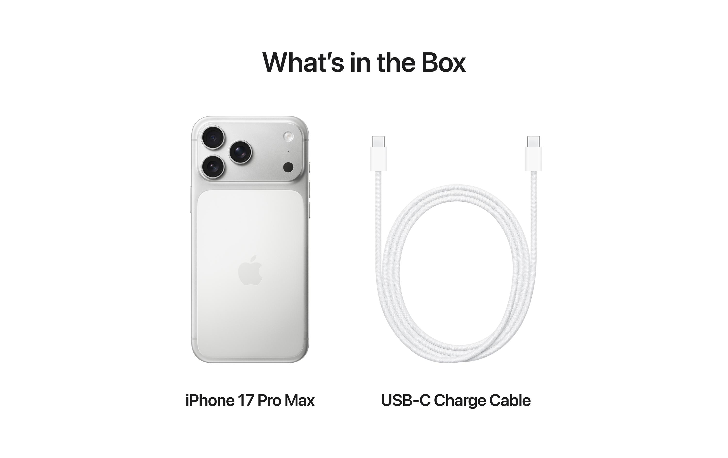 Apple iPhone 17 Pro Max 2000 GB Silver Apple iPhone 17 Pro Max 2000 GB Silver