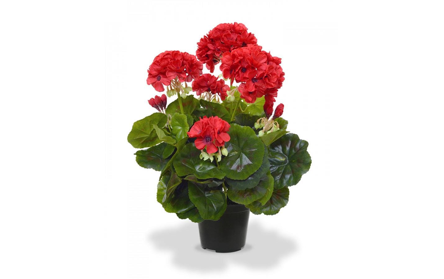 Botanic-Haus Kunstpflanze Geranien in Topf Rot, 40 cm