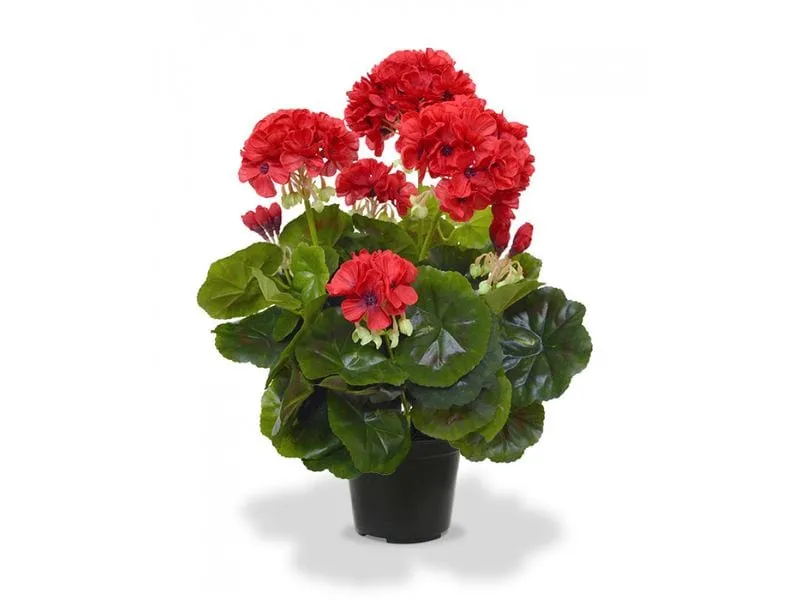 Botanic-Haus Kunstpflanze Geranien in Topf Rot, 40 cm Botanic-Haus Kunstpflanze Geranien in Topf Rot, 40 cm
