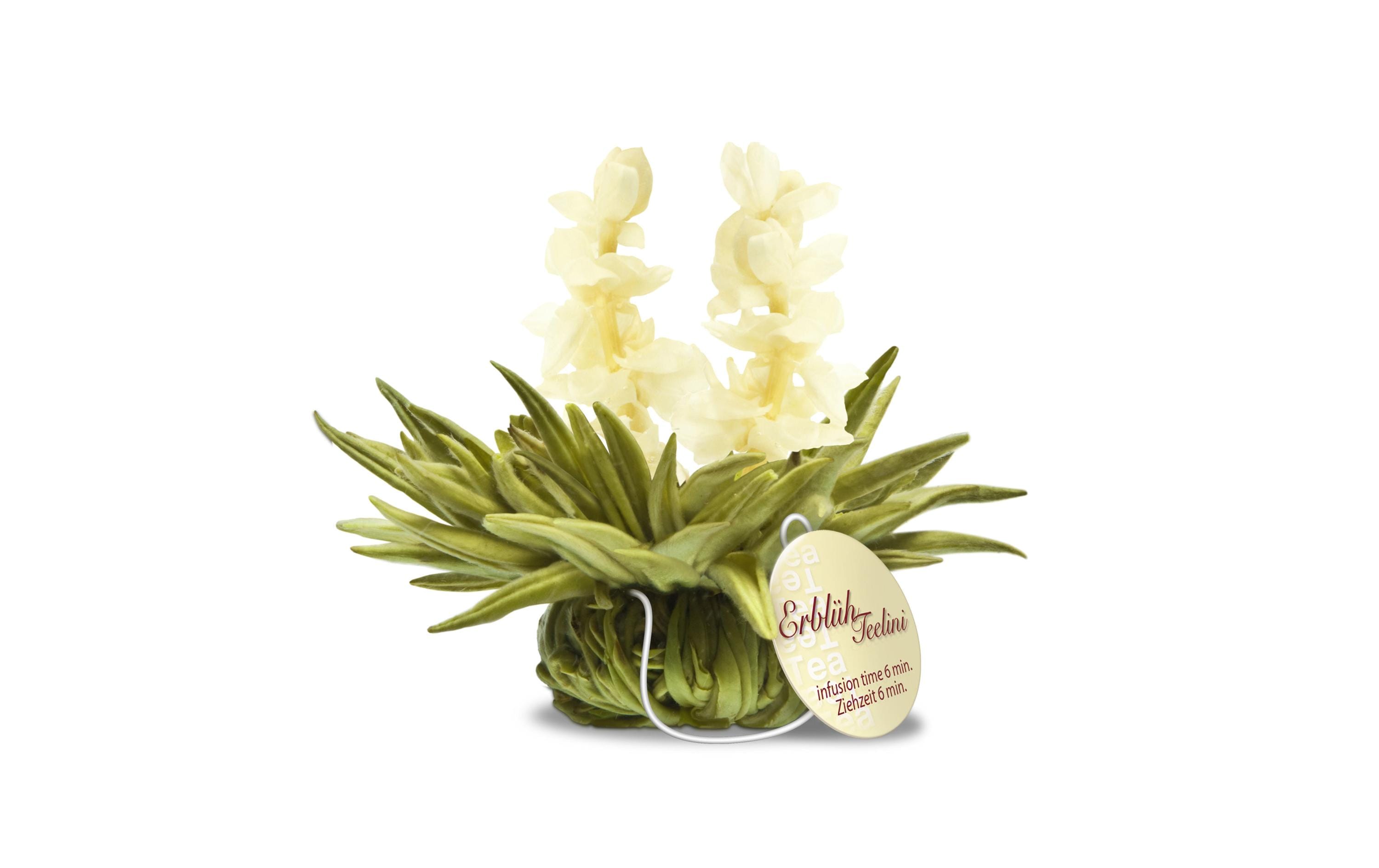 Creano Erblühtee Erblühteelini Weisstee 8er Set Creano Erblühtee Erblühteelini Weisstee 8er Set