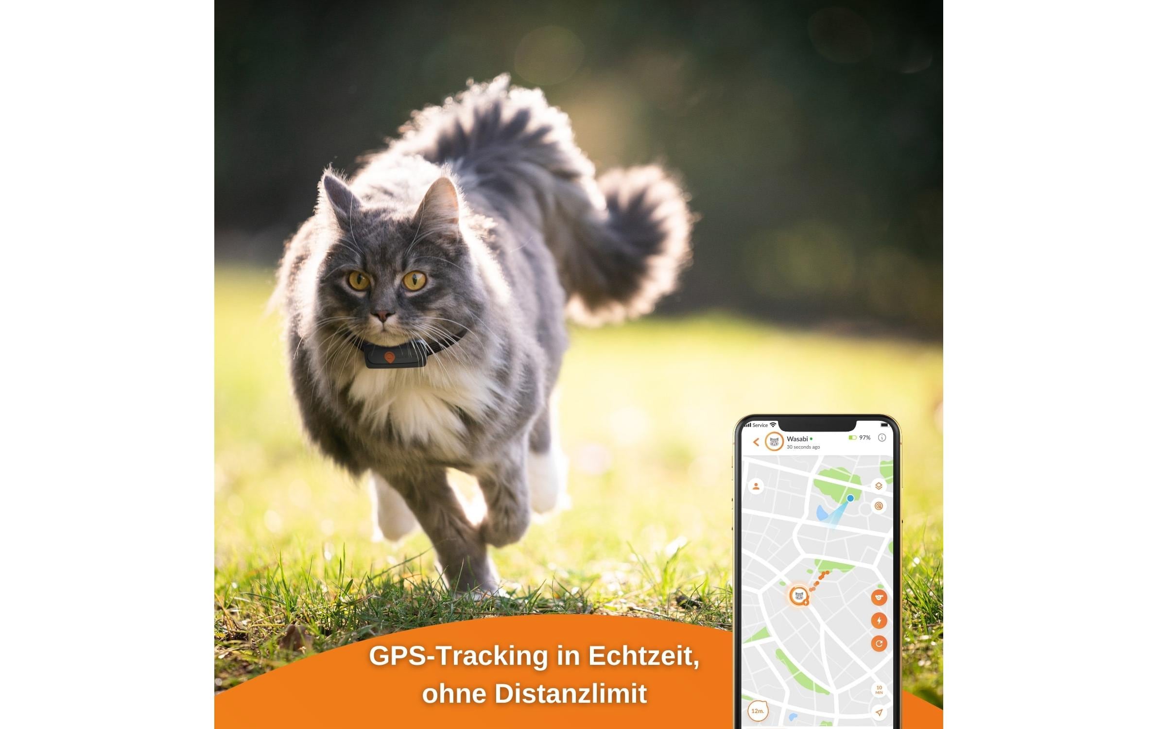 Weenect GPS-Tracker XS für Katzen, Schwarz