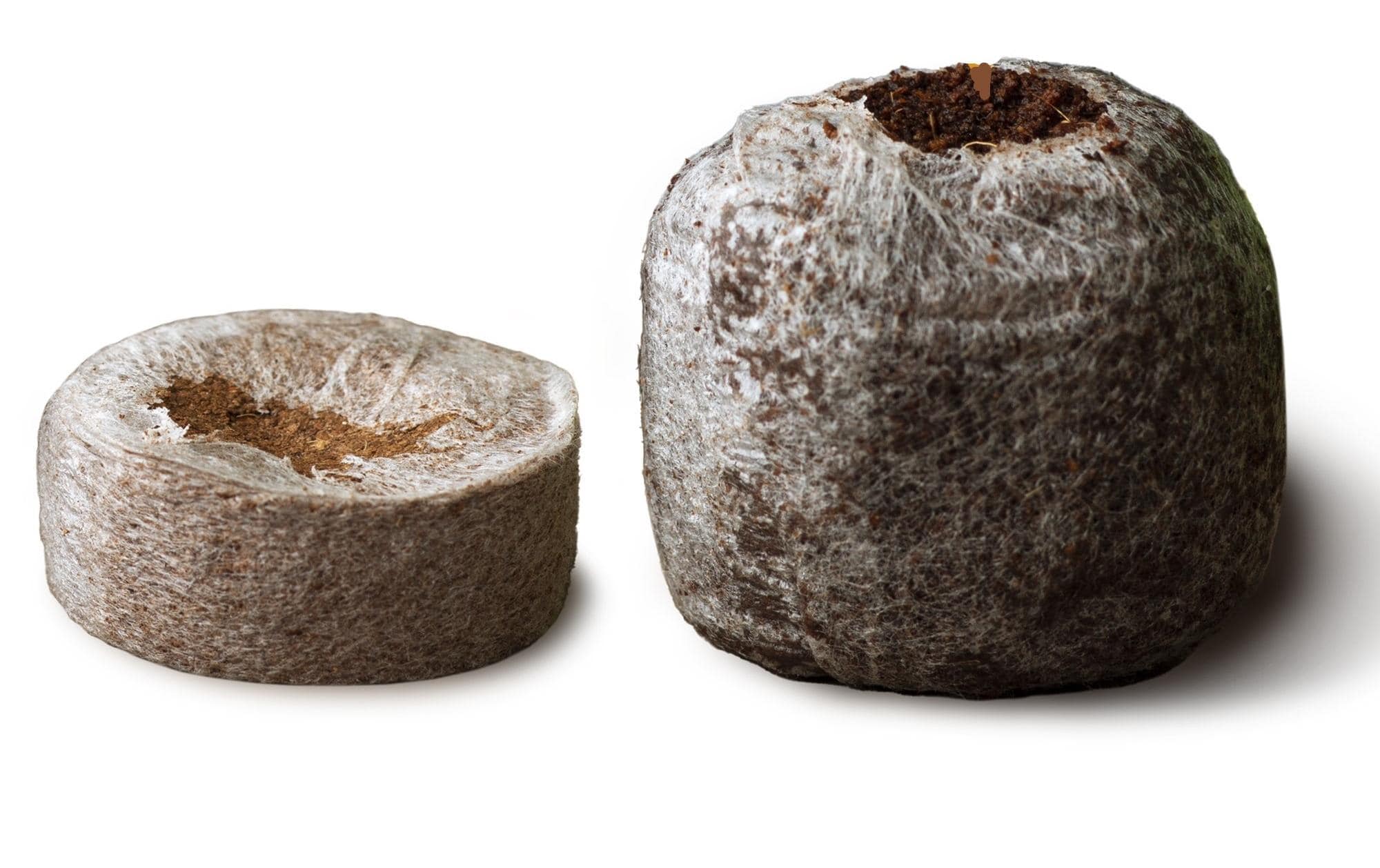 Gusta Garden Kokos-Quelltöpfe HARRY HERBS, 16 Stück