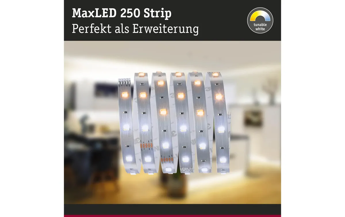 Paulmann LED-Stripe MaxLED 250 Tunable White, 1 m Verlängerung Paulmann LED-Stripe MaxLED 250 Tunable White, 1 m Verlängerung