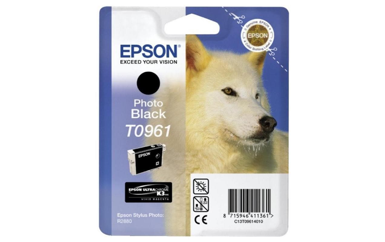 Epson Tinte C13T09614010 Photo Black