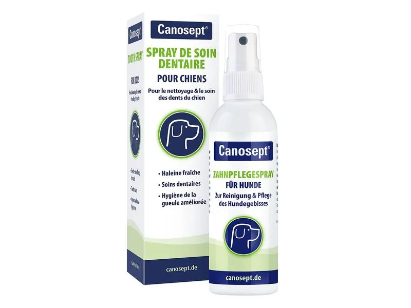 Canosept Zahnreinigung Zahnpflegespray 100 ml