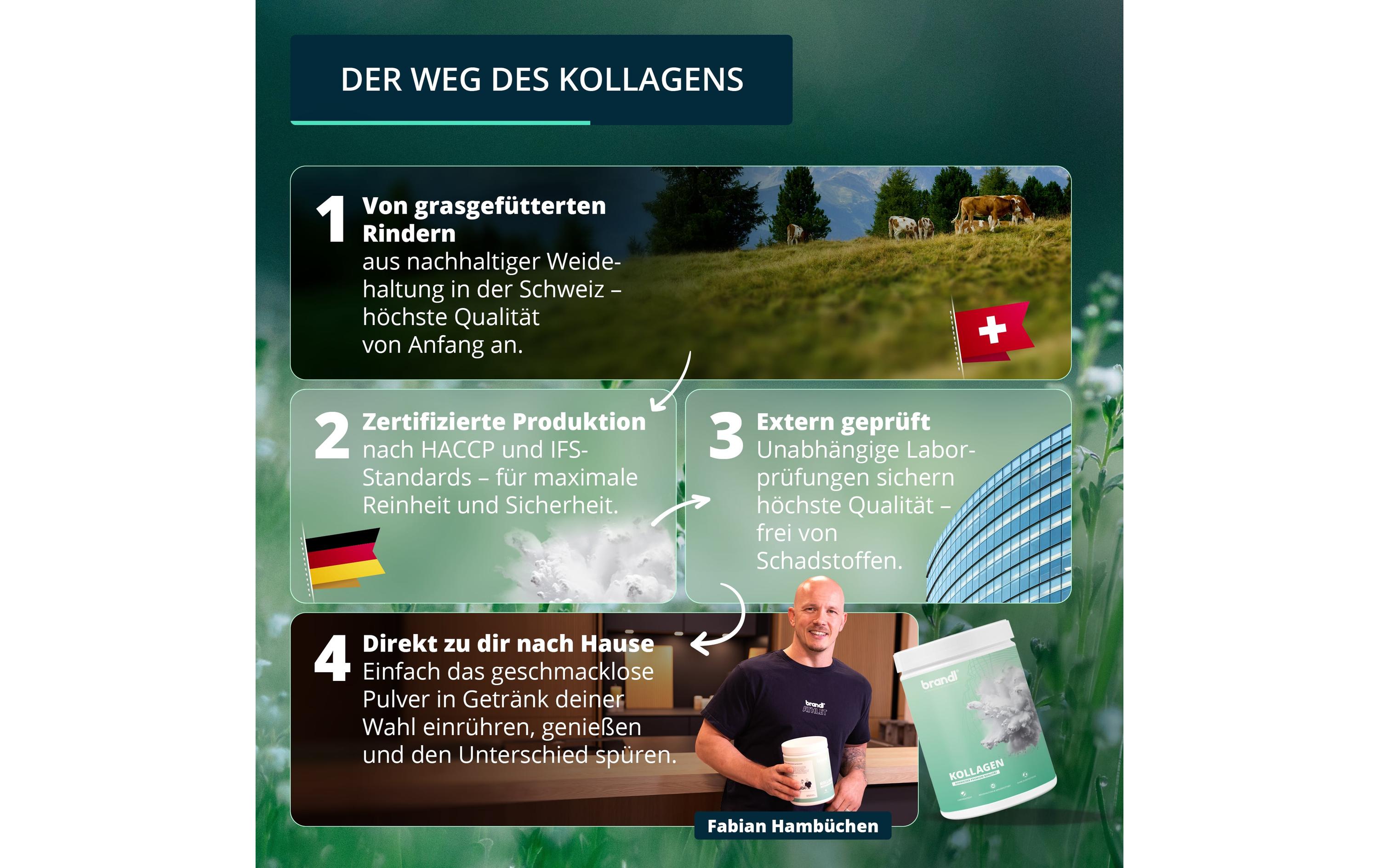 Brandl-Nutrition Pulver Kollagen Neutral 550 g