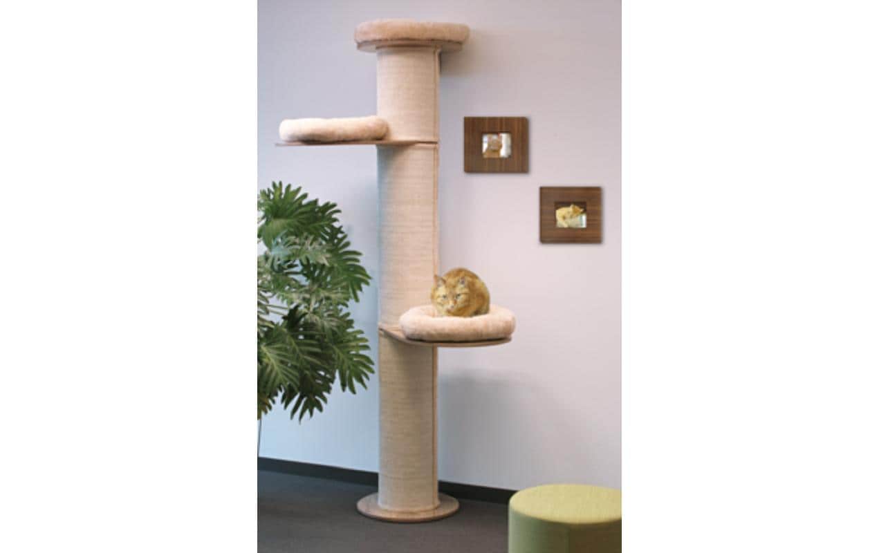 azoona Kratzbaum Maximus, Beige azoona Kratzbaum Maximus, Beige