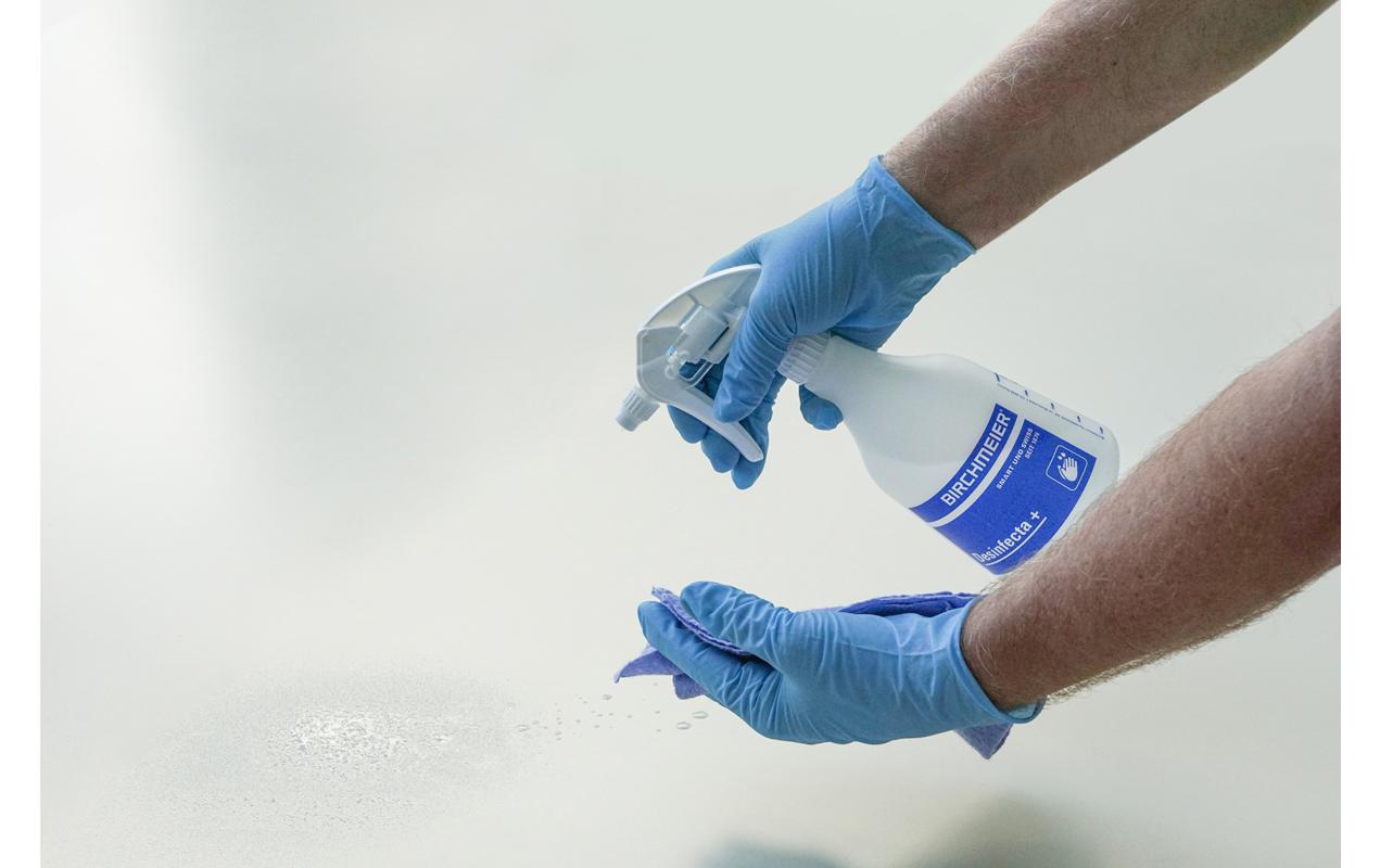 Birchmeier Handsprüher Desinfecta + Birchmeier Handsprüher Desinfecta +