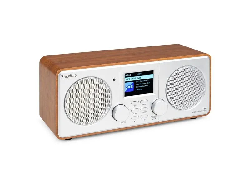 Audizio DAB+ Radio Foza Braun/Silber Audizio DAB+ Radio Foza Braun/Silber