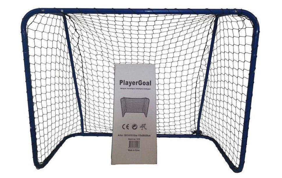 Eurostick Unihockeytor Player