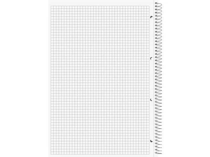 Brunnen Notizbuch Premium Metallic A4, kariert, 100 Blatt, Anthrazit Brunnen Notizbuch Premium Metallic A4, kariert, 100 Blatt, Anthrazit