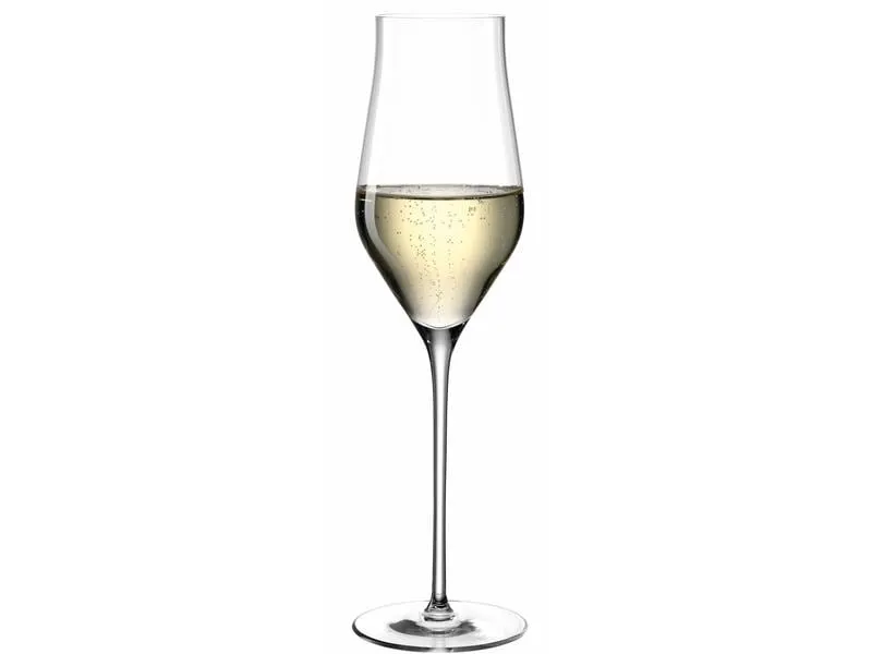 Leonardo Champagnerglas Brunelli 340 ml, 6 Stück, Transparent Leonardo Champagnerglas Brunelli 340 ml, 6 Stück, Transparent