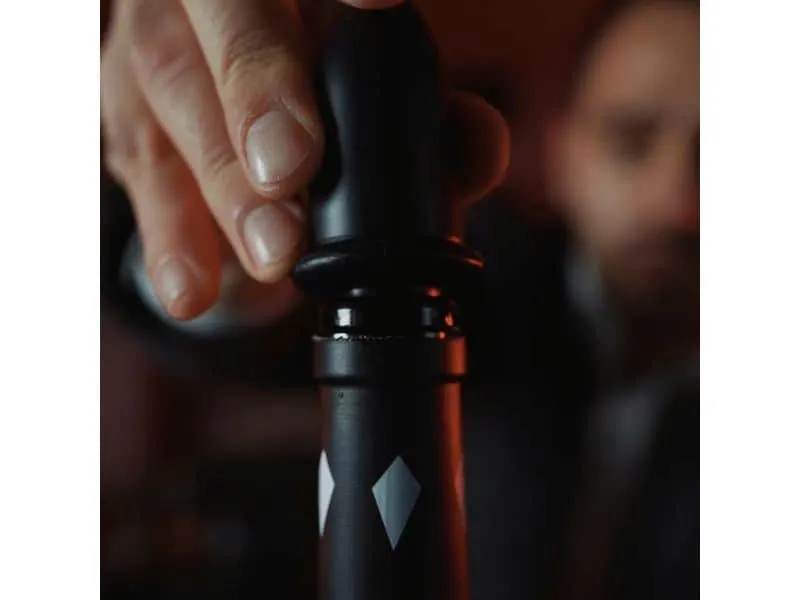 Fackelmann Weinausgiesser Specter 1 Stück, Schwarz Fackelmann Weinausgiesser Specter 1 Stück, Schwarz