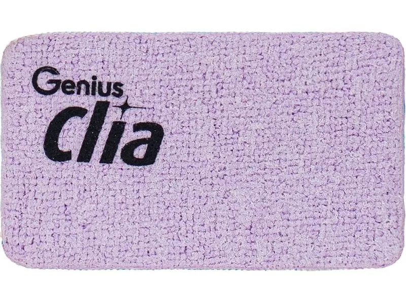 Genius Schwamm Clia Klein, 2-teilig Genius Schwamm Clia Klein, 2-teilig