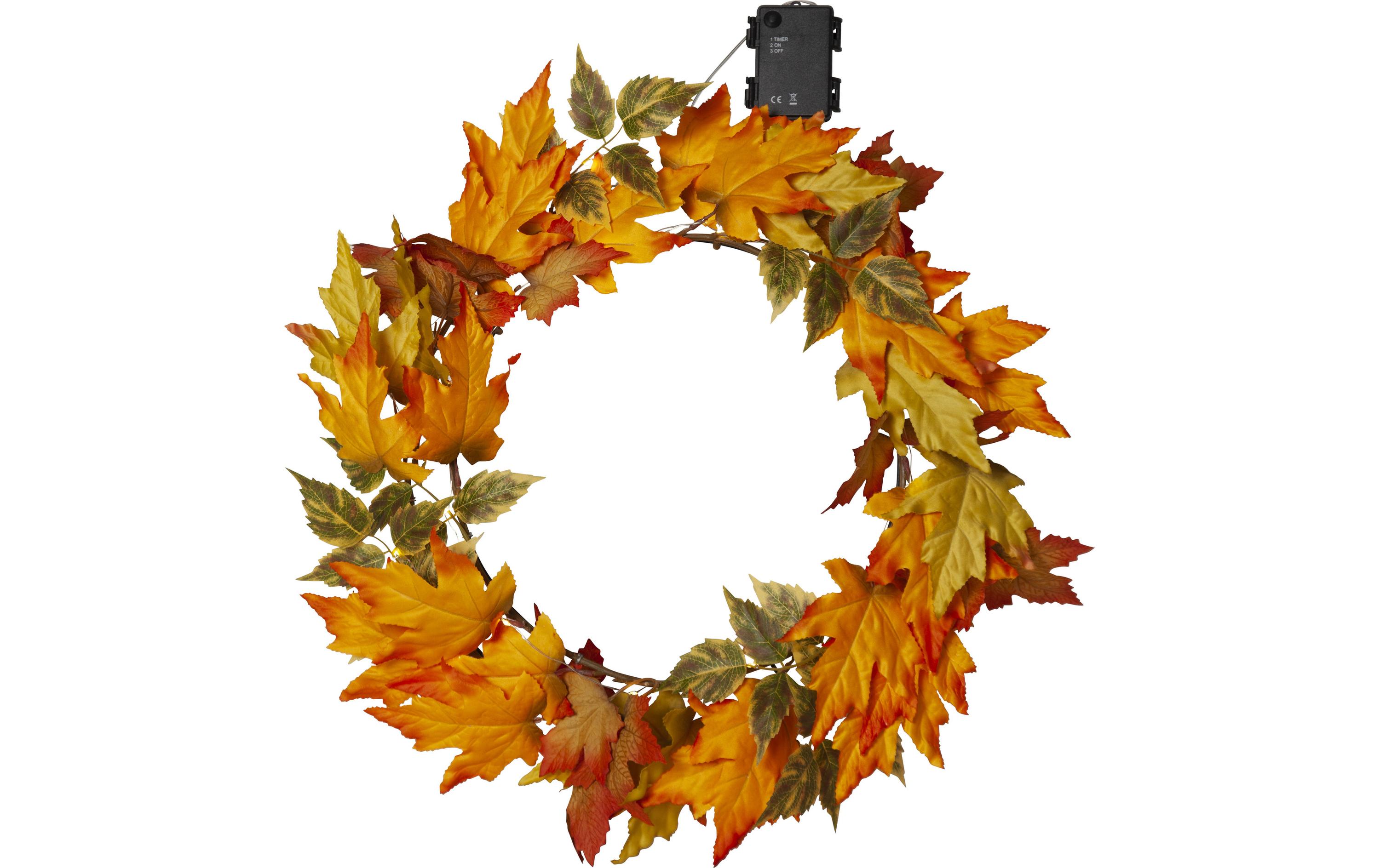 Star Trading Lichterkette Herbstkranz, 30 LEDs, Ø 45 cm,