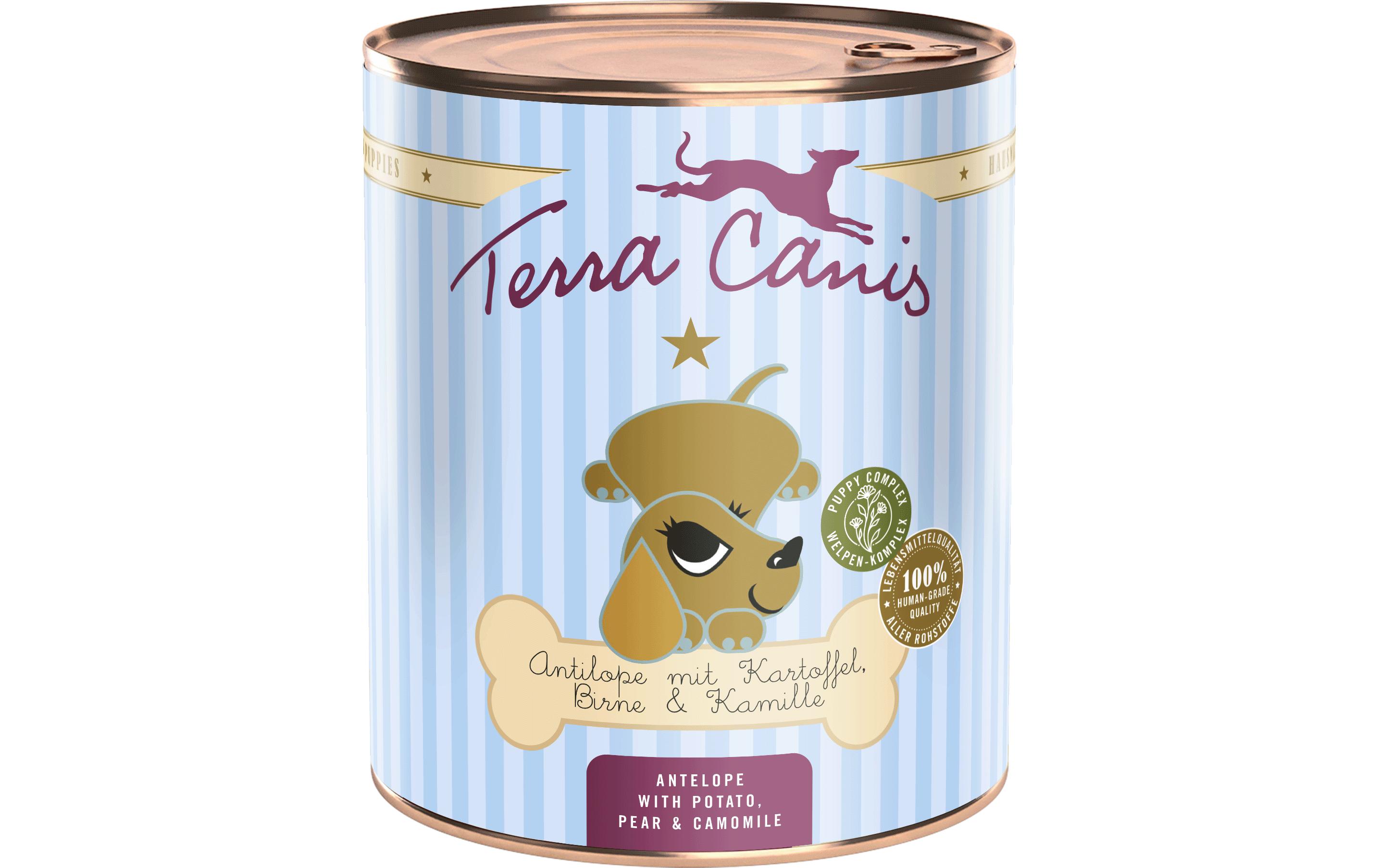 Terra Canis Nassfutter Welpe, Antilope mit Kartoffel, 800 g