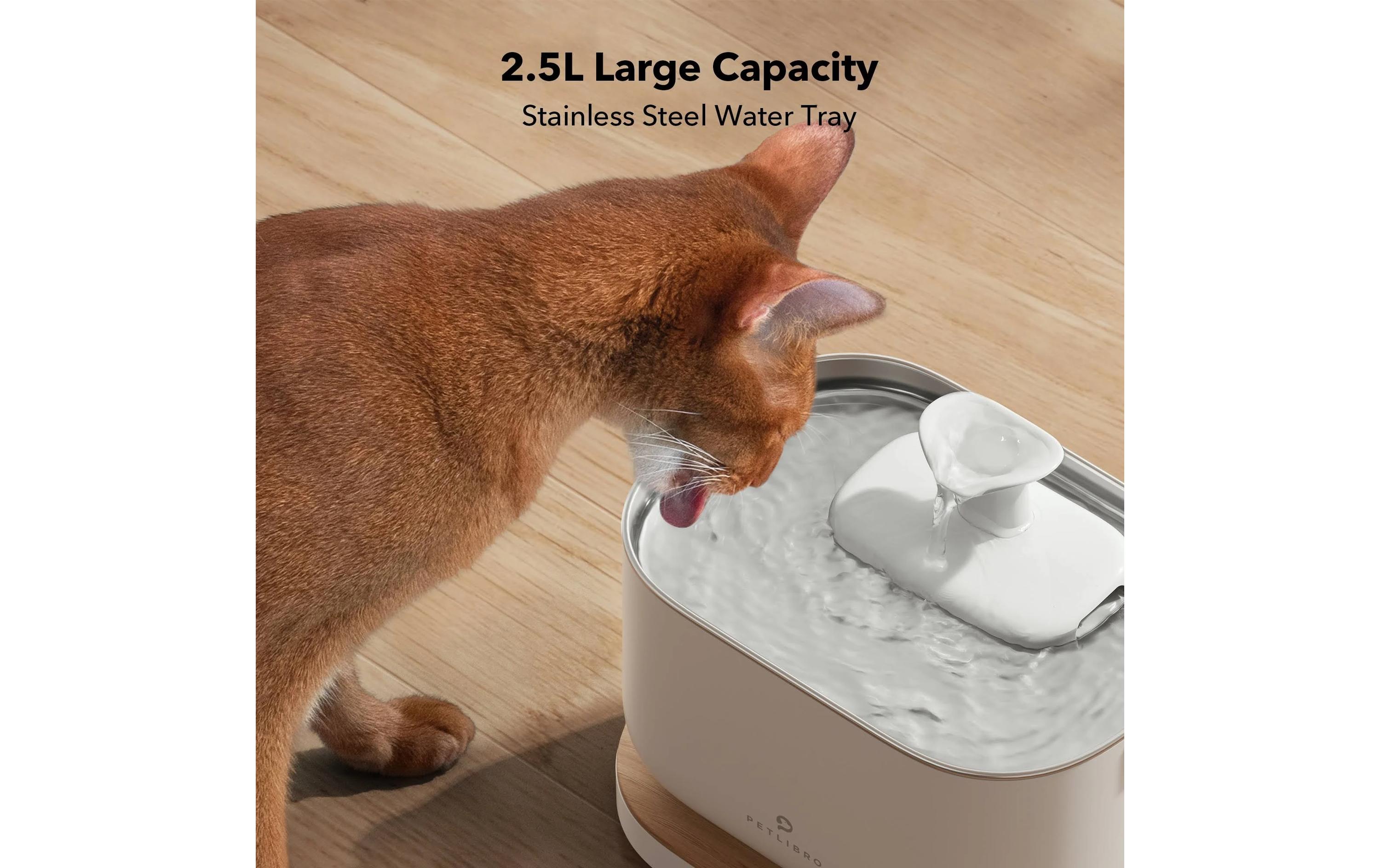 Petlibro Dockstream intelligenter Katzenbrunnen Weiss