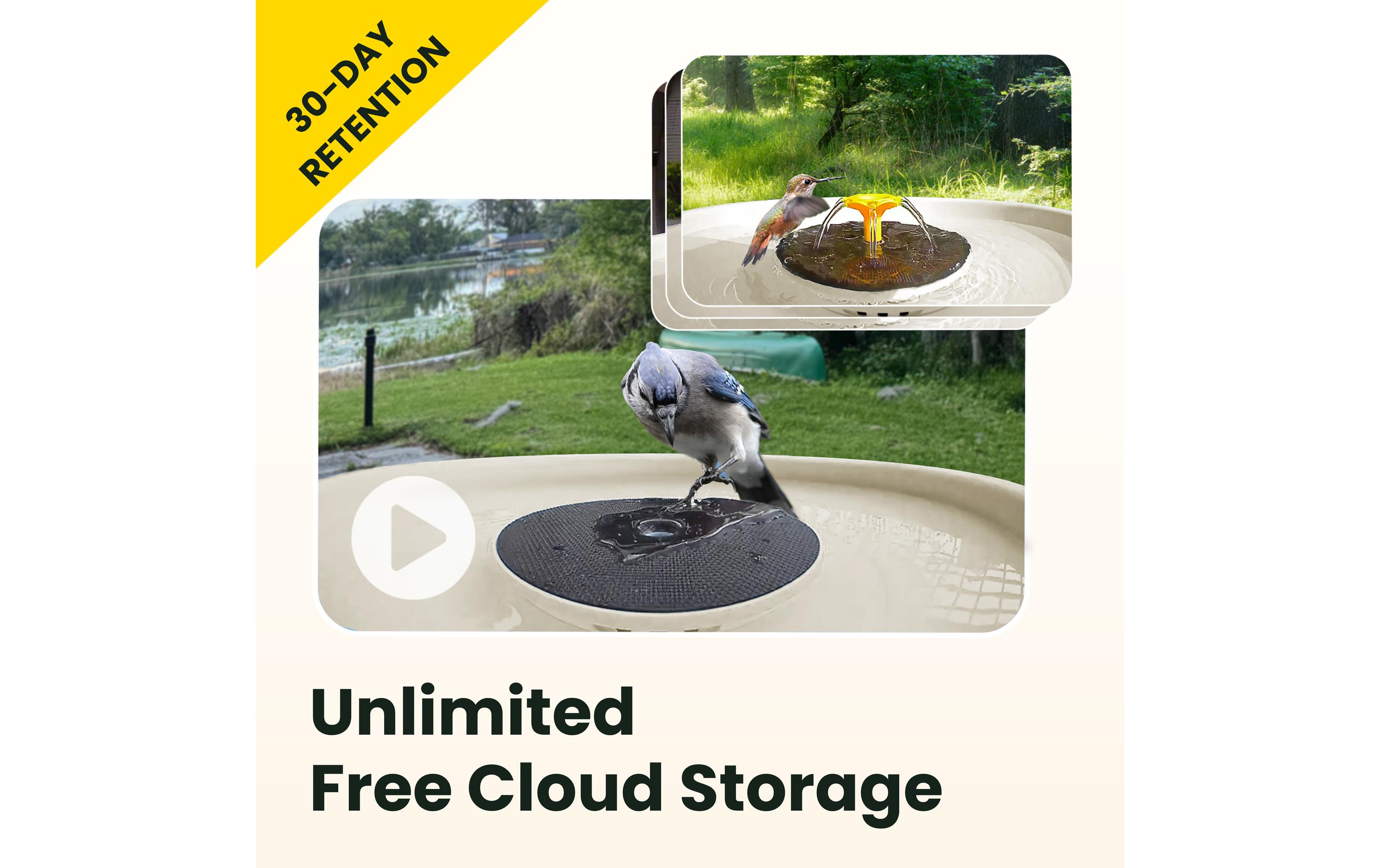 Birdfy Intelligentes Vogelbad mit Kamera