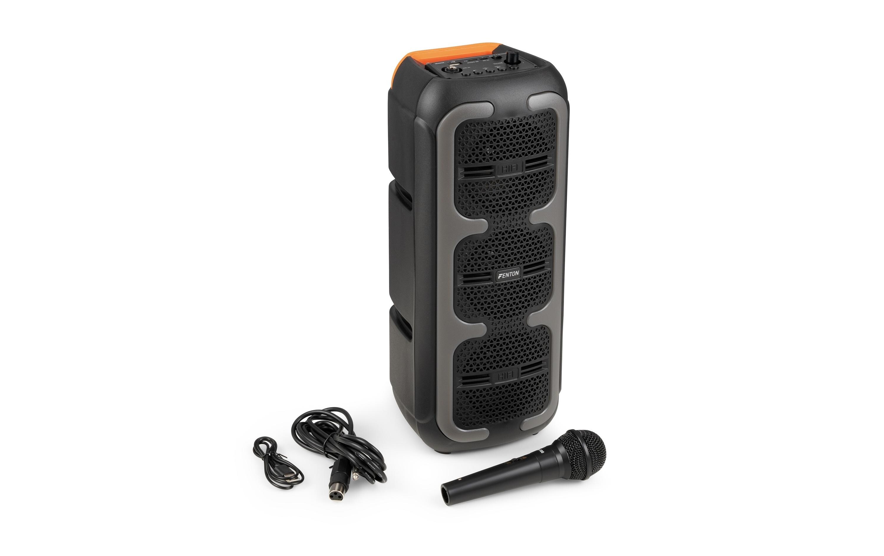 Fenton Lautsprecher Track310