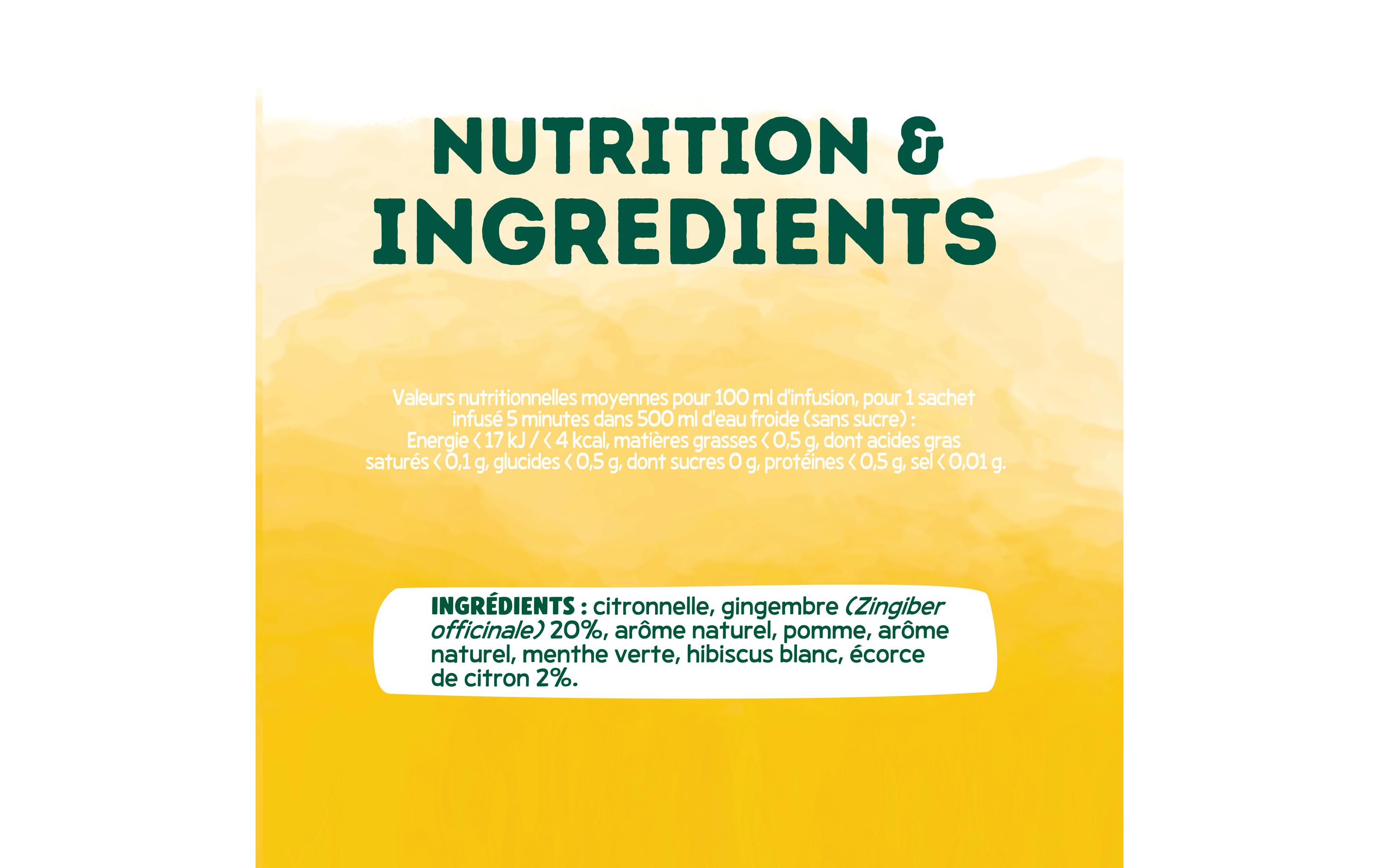 Eléphant Teebeutel Cold Infusion a Froid Boost 20 Stück