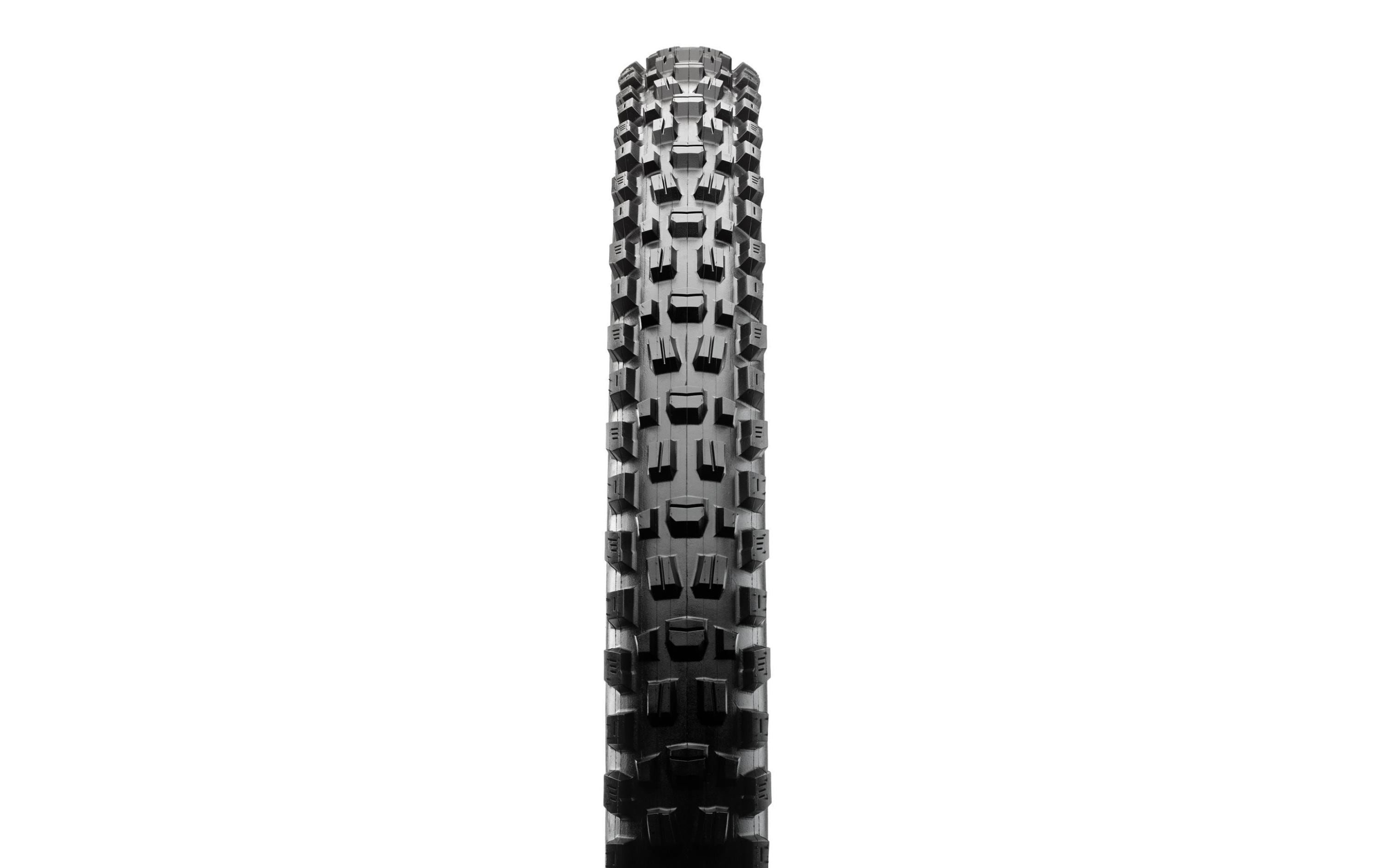 Maxxis Velopneu Assegai WT TR DD, 3C Grip 29 x 2.5