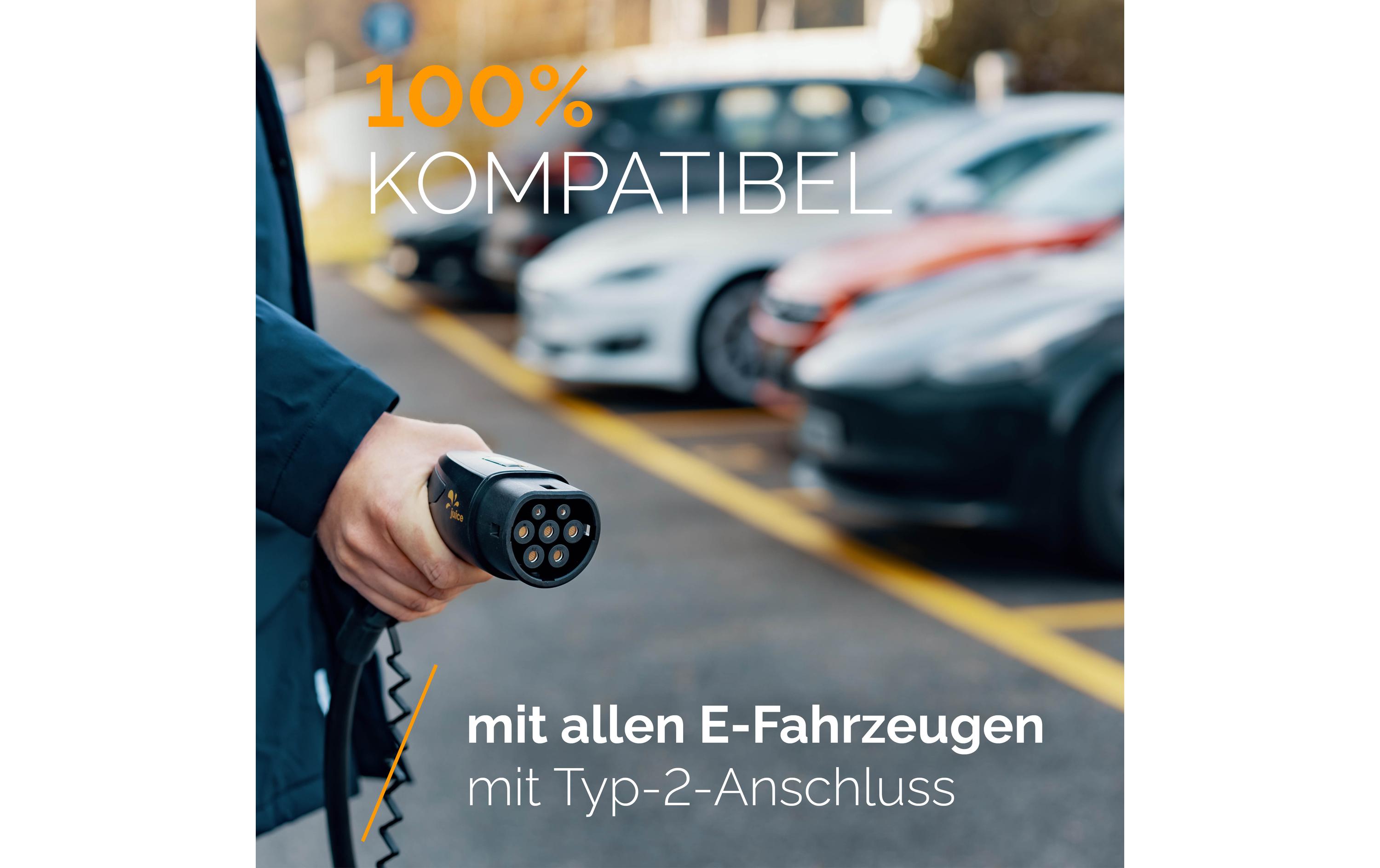 Juice Technology Mobile Wallbox JUICE BOOSTER 2 Swiss Basic Set Typ 1