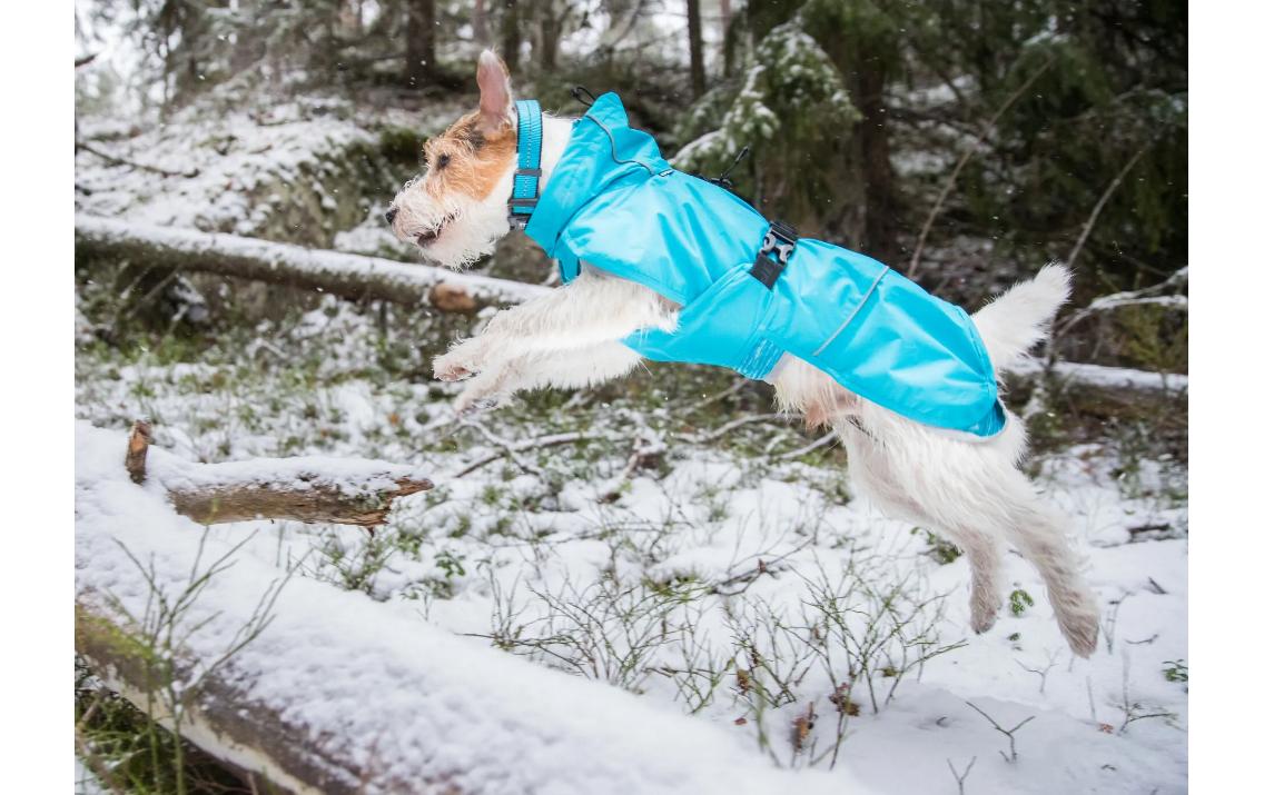 Icepeak Regenmantel Strike Blau, L