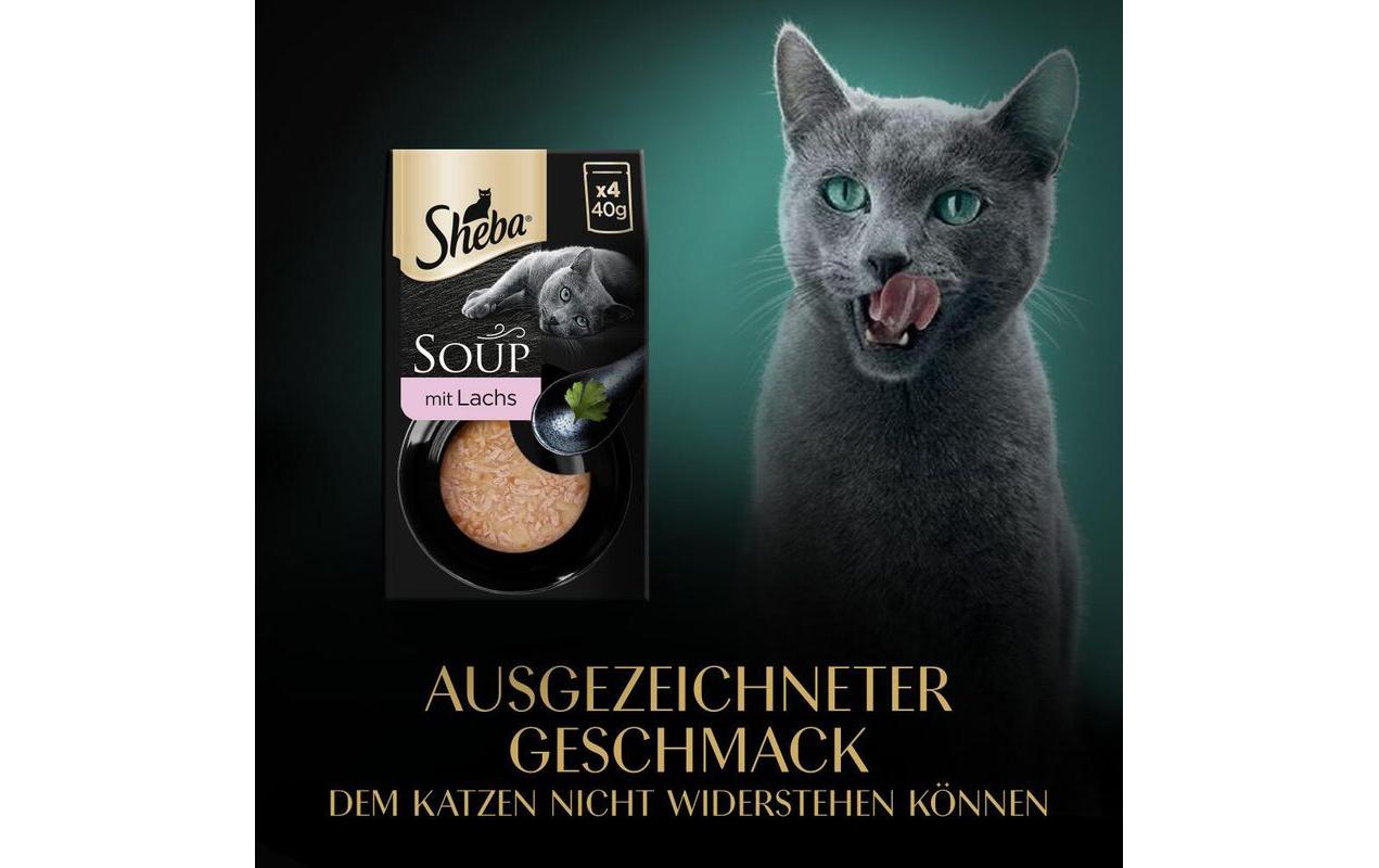 Sheba Nassfutter Classic Soup mit Salmon, 4 x 40g
