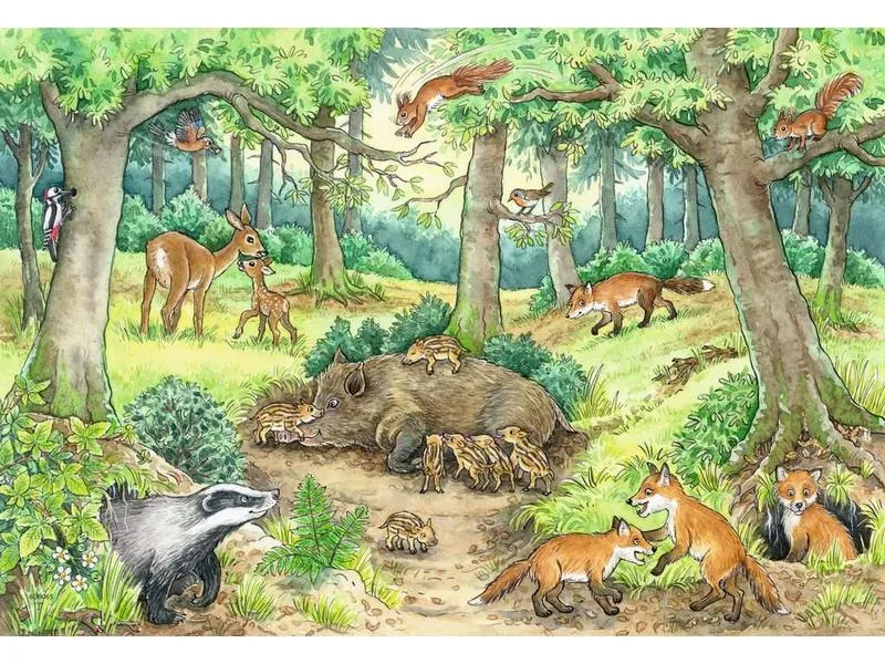 Ravensburger Kleinkinder Puzzle WWW Tiere im Wald und auf der Wiese Ravensburger Kleinkinder Puzzle WWW Tiere im Wald und auf der Wiese
