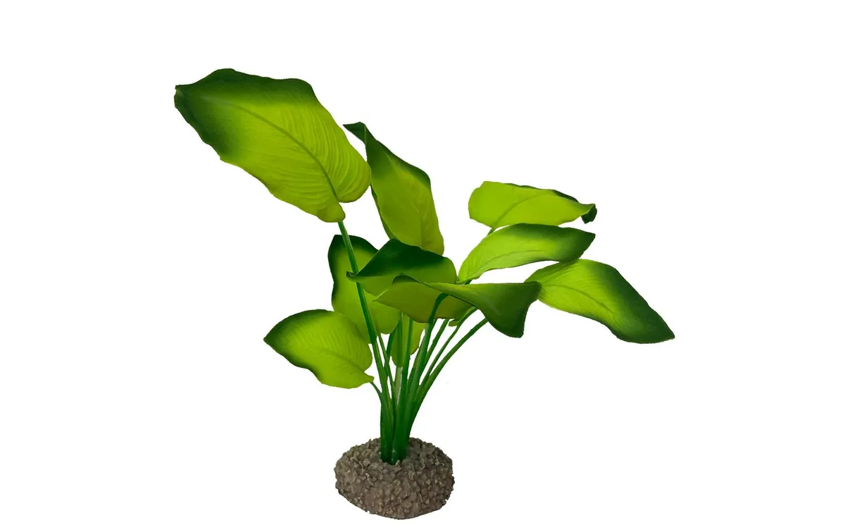 AquaDella Kunstpflanze Anubias 3, 20 cm AquaDella Kunstpflanze Anubias 3, 20 cm
