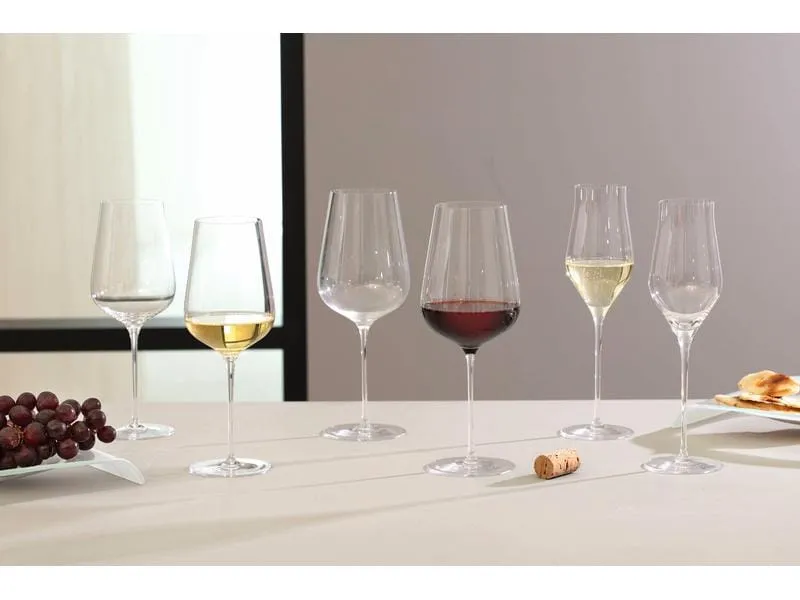 Leonardo Champagnerglas Brunelli 340 ml, 6 Stück, Transparent Leonardo Champagnerglas Brunelli 340 ml, 6 Stück, Transparent