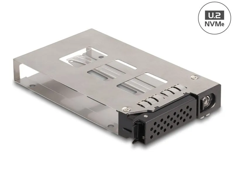 Delock Wechselrahmen U.2 NVMe 2.5
