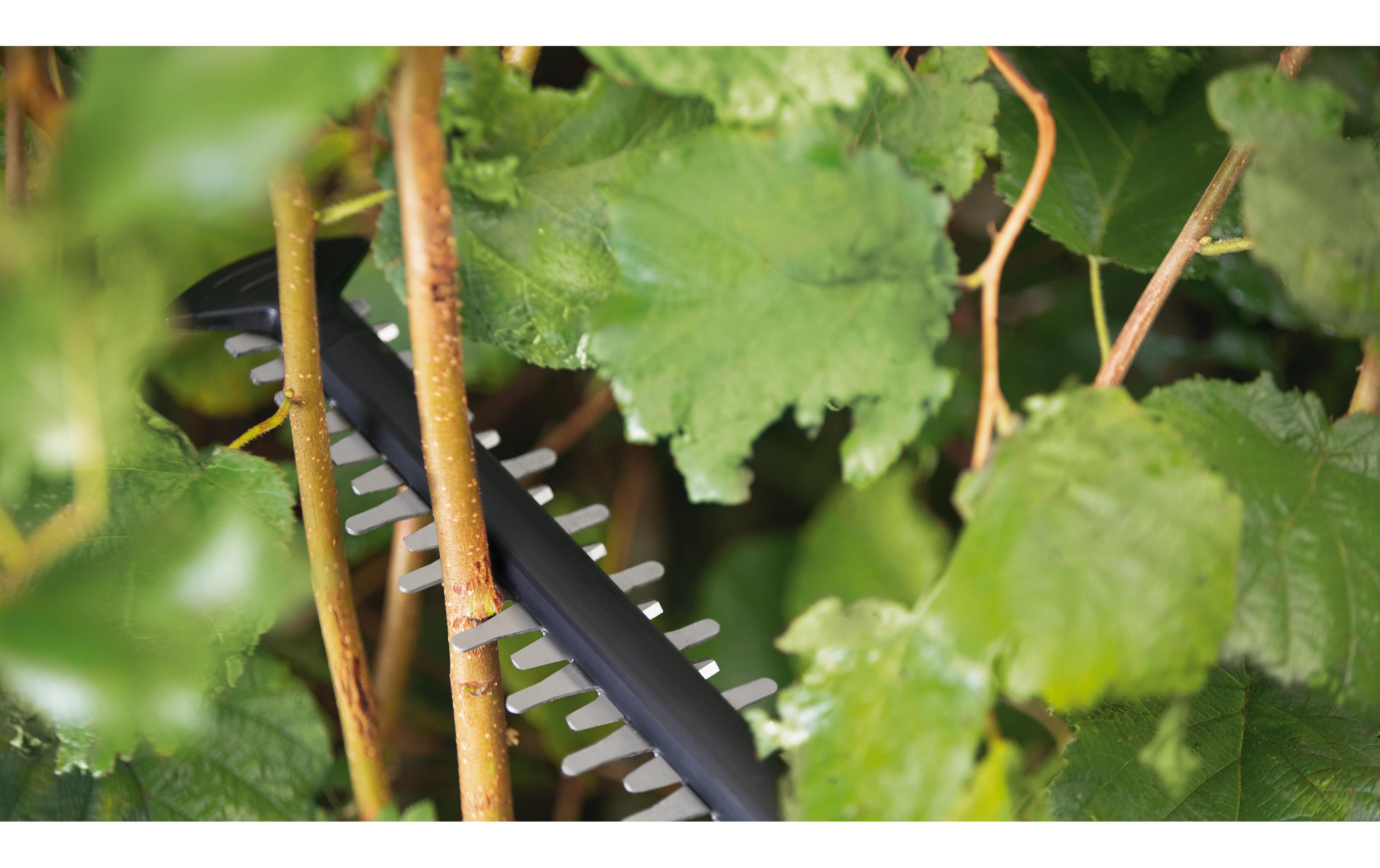 Bosch Akku-Heckenschere UniversalHedgeCut 18 V-55