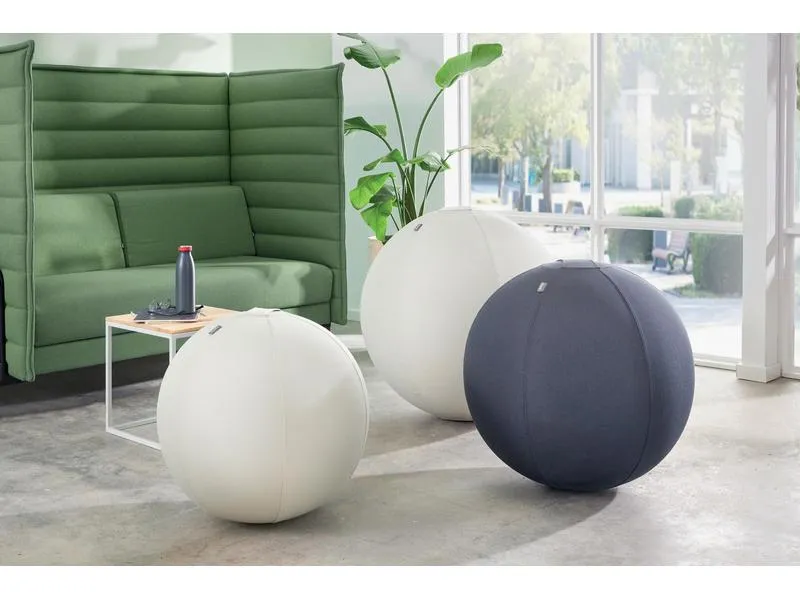 Leitz Sitzball Ergo Active 55 cm Leitz Sitzball Ergo Active 55 cm