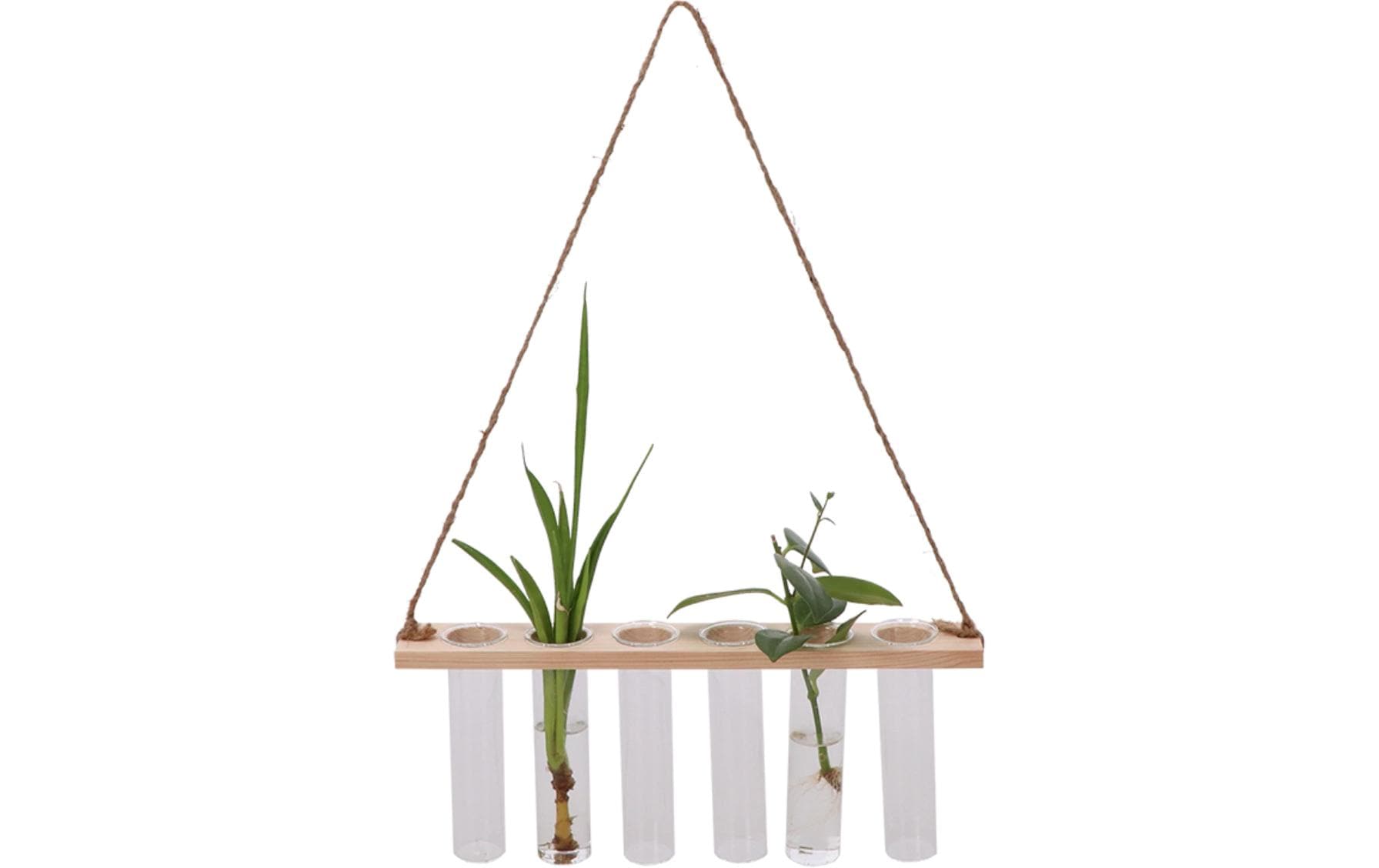 Esschert Design Reagenzglashänger M 13 cm, Nature/Transparent